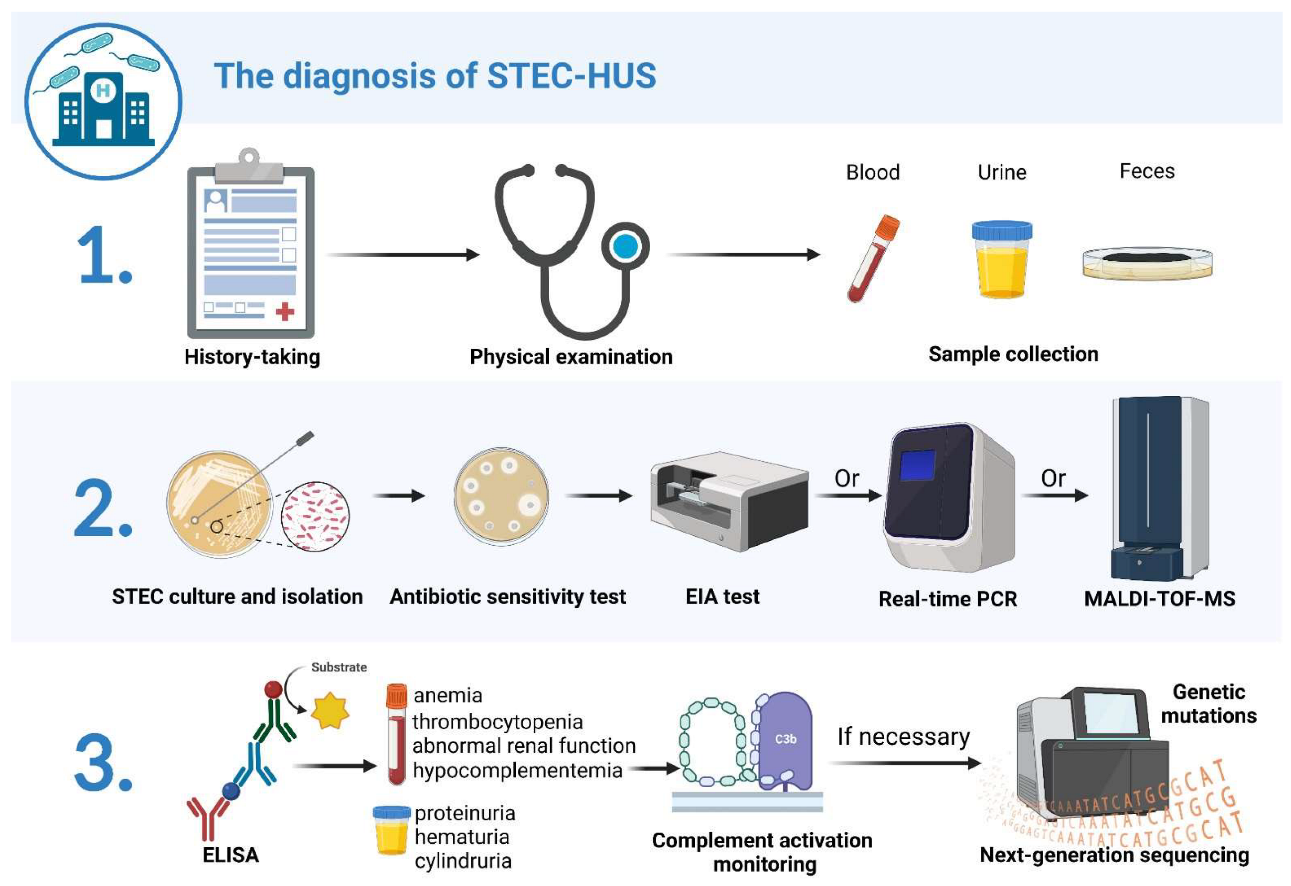 Diagnosis And Treatment For Shiga Toxin Producing Escherichia Coli Diagnosis And Treatment For Shiga Toxin Producing Escherichia Coli
