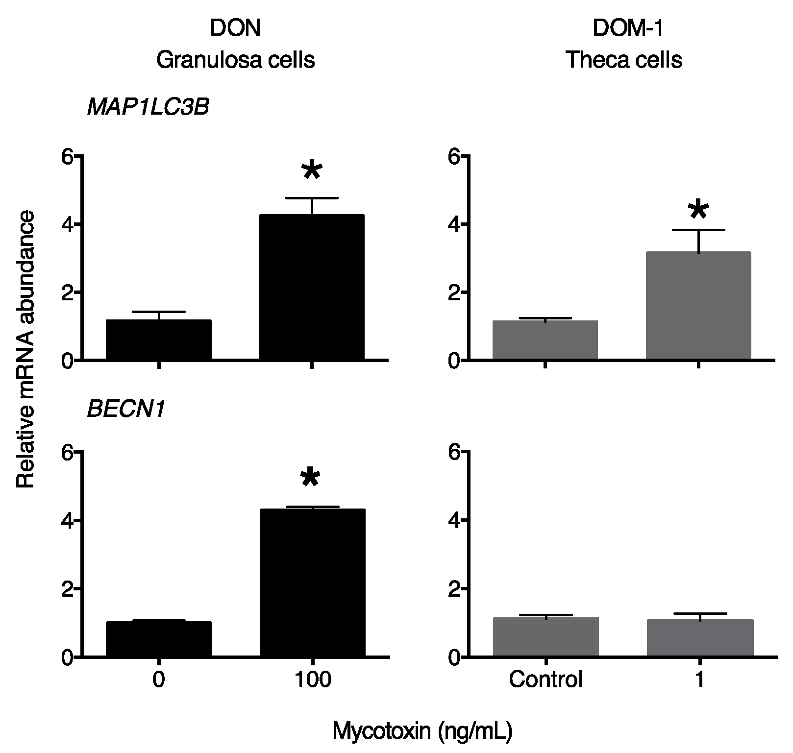 The Mycotoxin De Epoxy Deoxynivalenol DOM 1 Increases Endoplasmic The Mycotoxin De Epoxy Deoxynivalenol DOM 1 Increases Endoplasmic