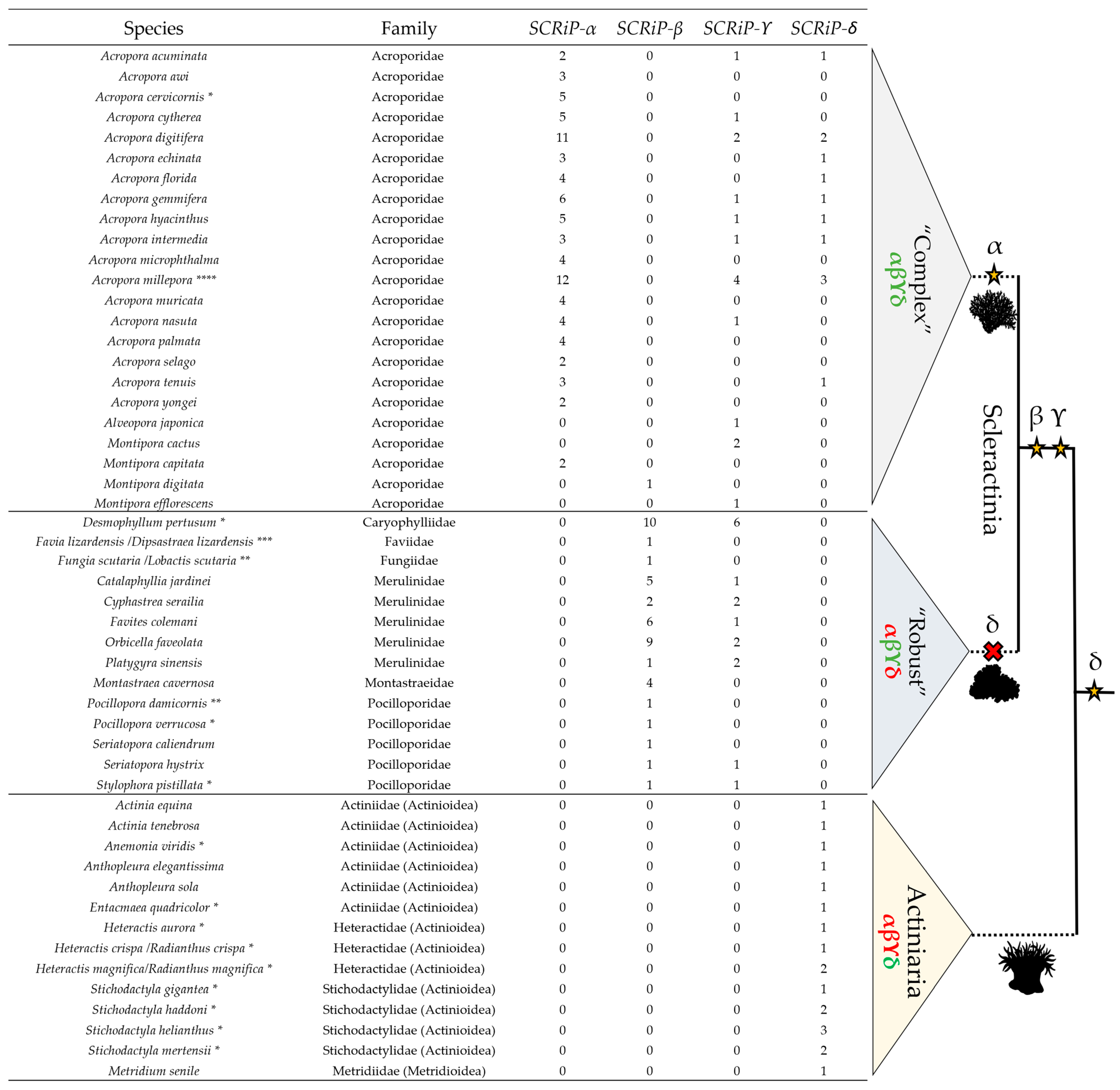 Toxins | Free Full-Text | Evolutionary Analysis of Cnidaria Small 