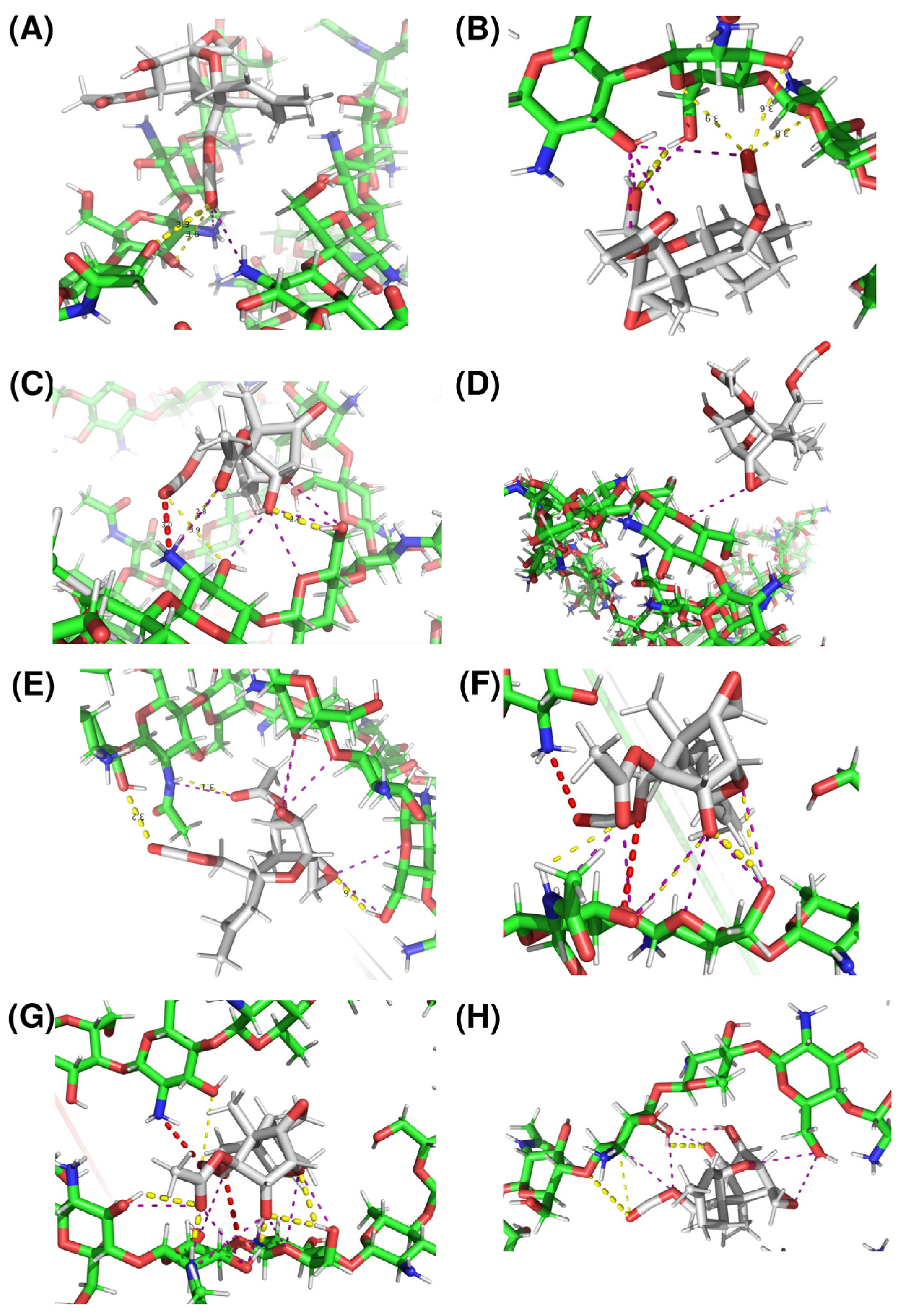 study-of-in-silico-binding-interactions-and-in-vitro-biosorption-of