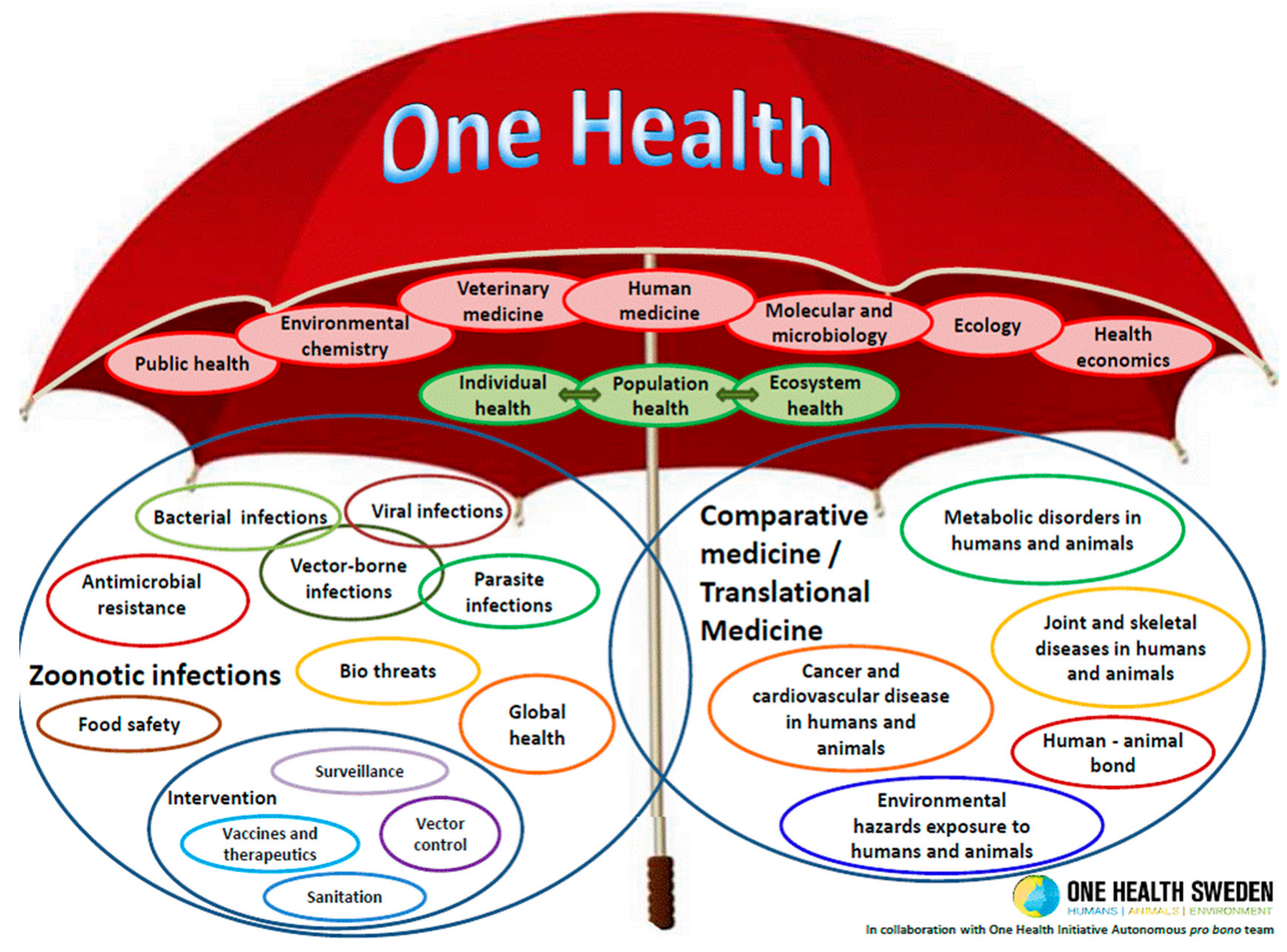 TropicalMed | Free Full-Text | The One Health Approach—Why Is It So  Important?