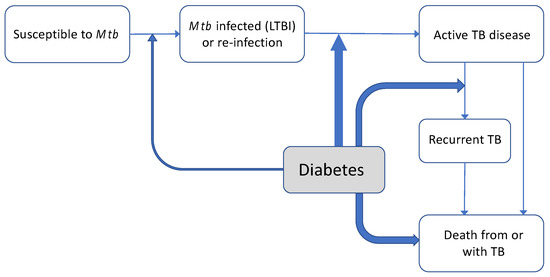 Temporal trends in areas at risk for concomitant tuberculosis in a