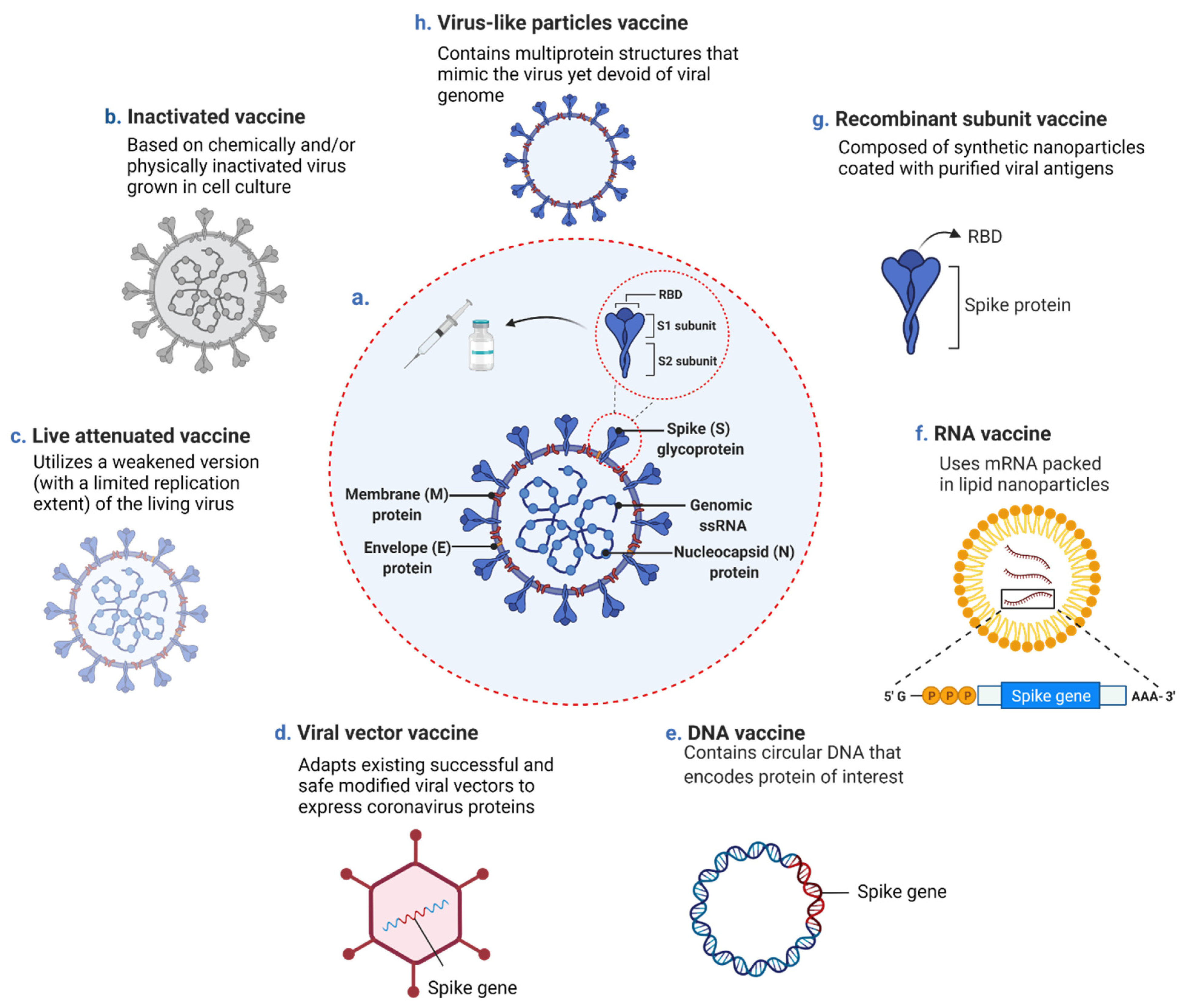 Vaccines | Free Full-Text | COVID-19 Vaccine Platforms: Challenges and  Safety Contemplations