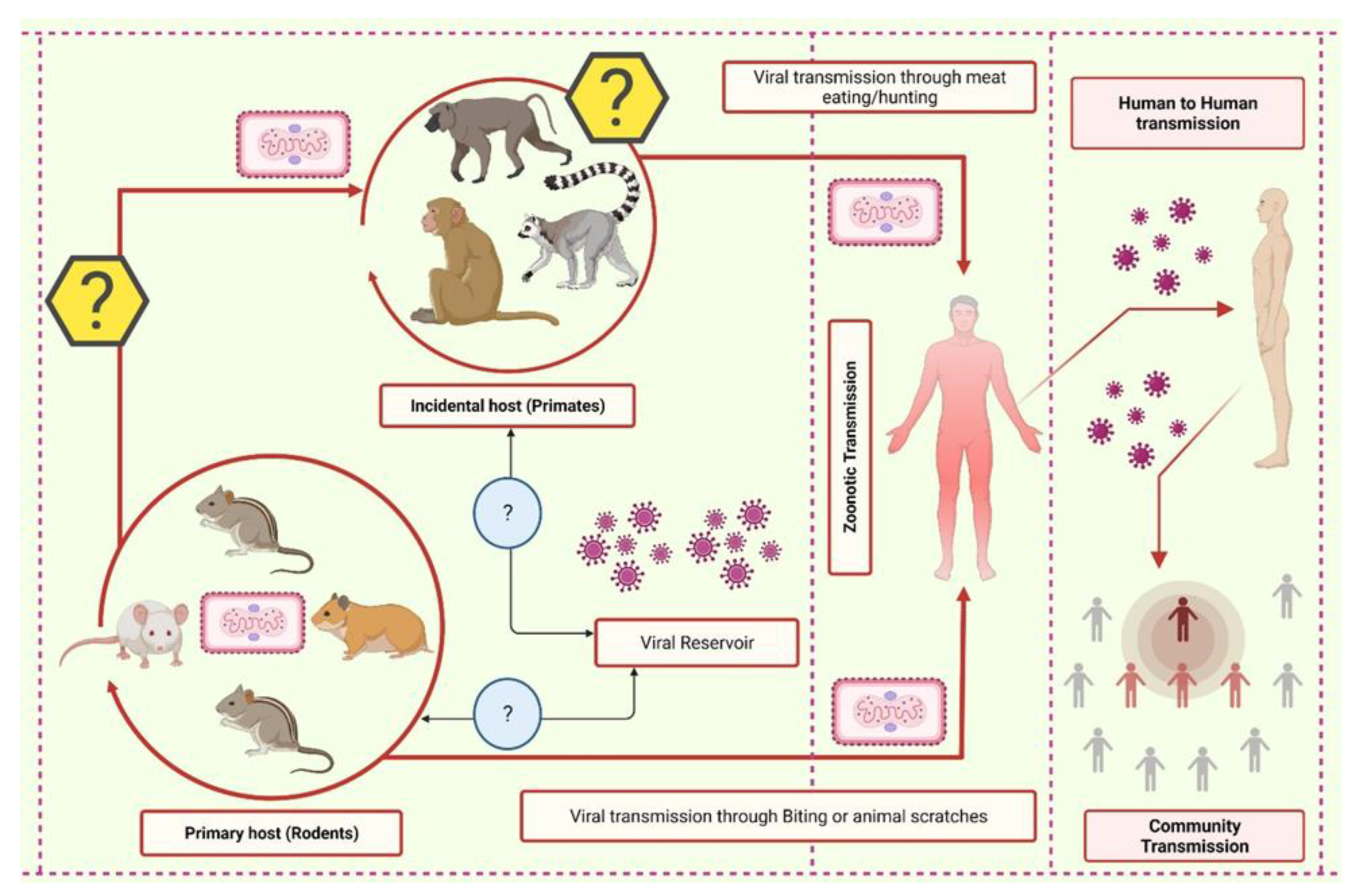 Monkeypox Virus Infection in Humans across 16 Countries — April–June 2022