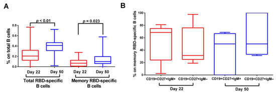 Vaccines | Free Full-Text | Receptor-Binding-Domain-Specific B Cell ...