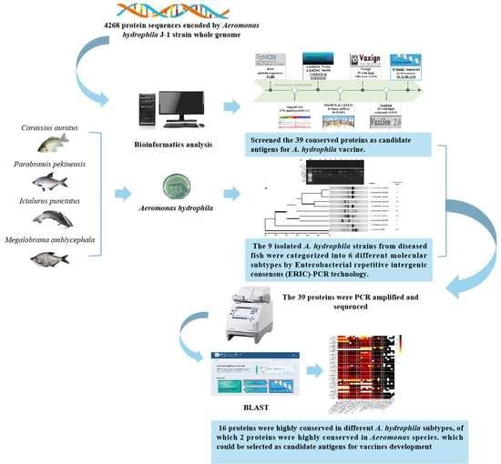 全国宅配無料 「One」 レコーディング/PA機器 - www.softwareskills.eu