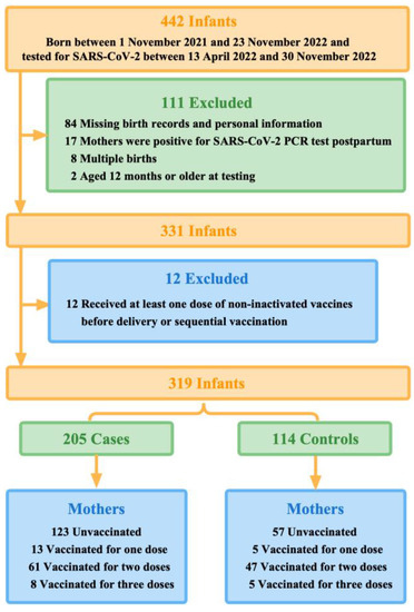 Vaccines | Free Full-Text | Effectiveness Of Maternal Inactivated COVID ...