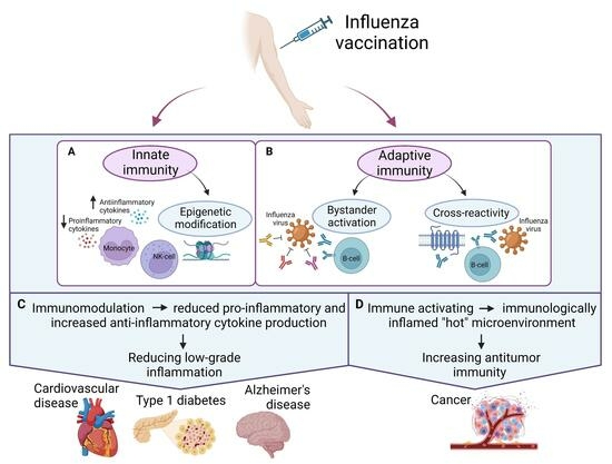 https://pub.mdpi-res.com/vaccines/vaccines-11-01419/article_deploy/html/images/vaccines-11-01419-ag-550.jpg?1693204076