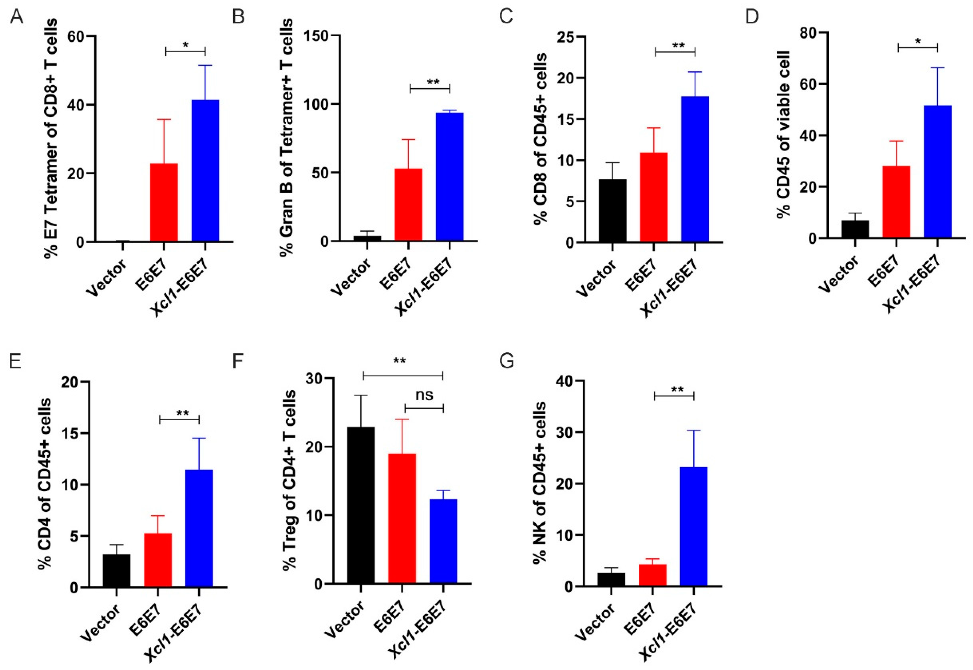 Developing an Effective Therapeutic HPV Vaccine to Eradicate Large ...