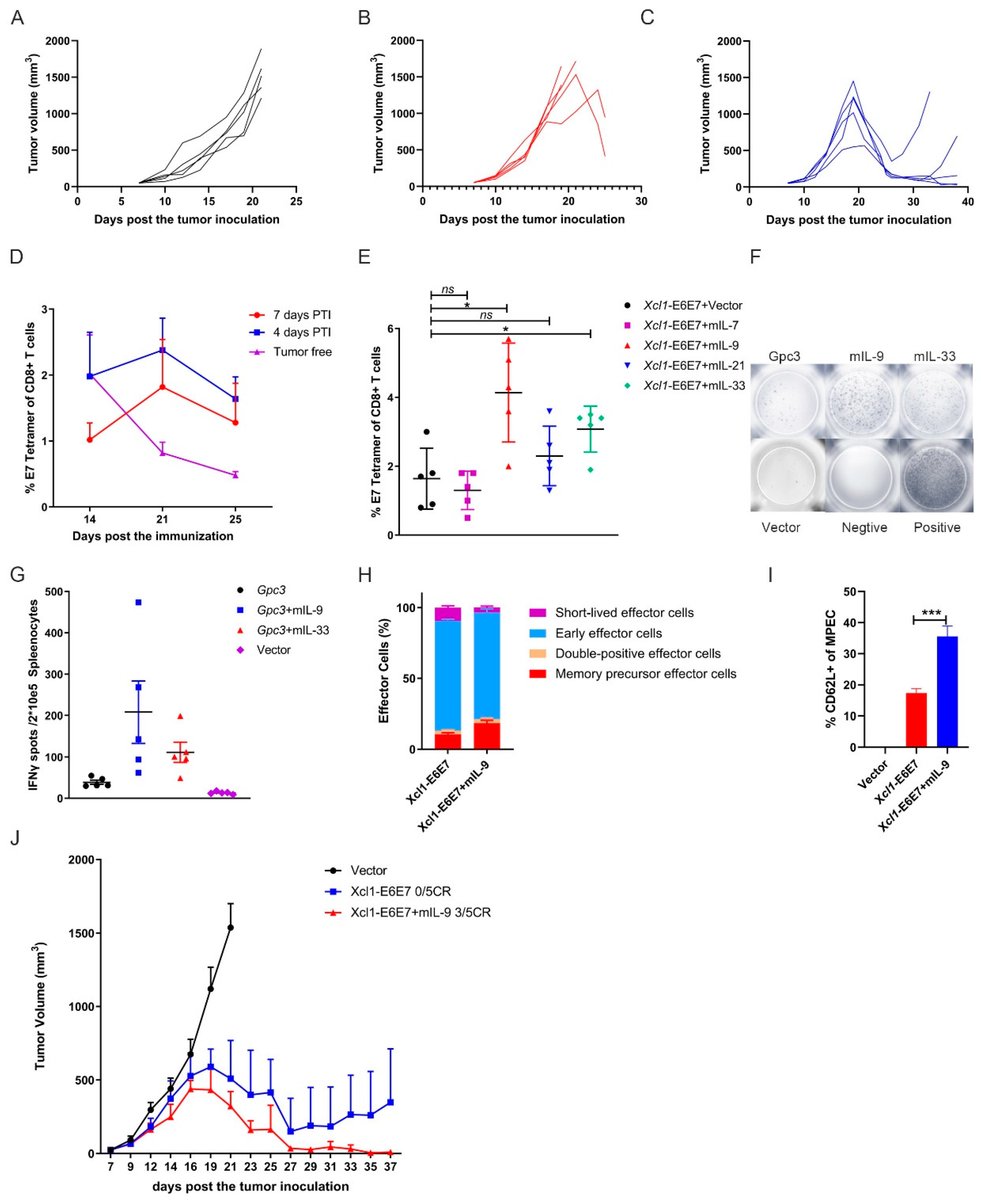 Developing an Effective Therapeutic HPV Vaccine to Eradicate Large ...