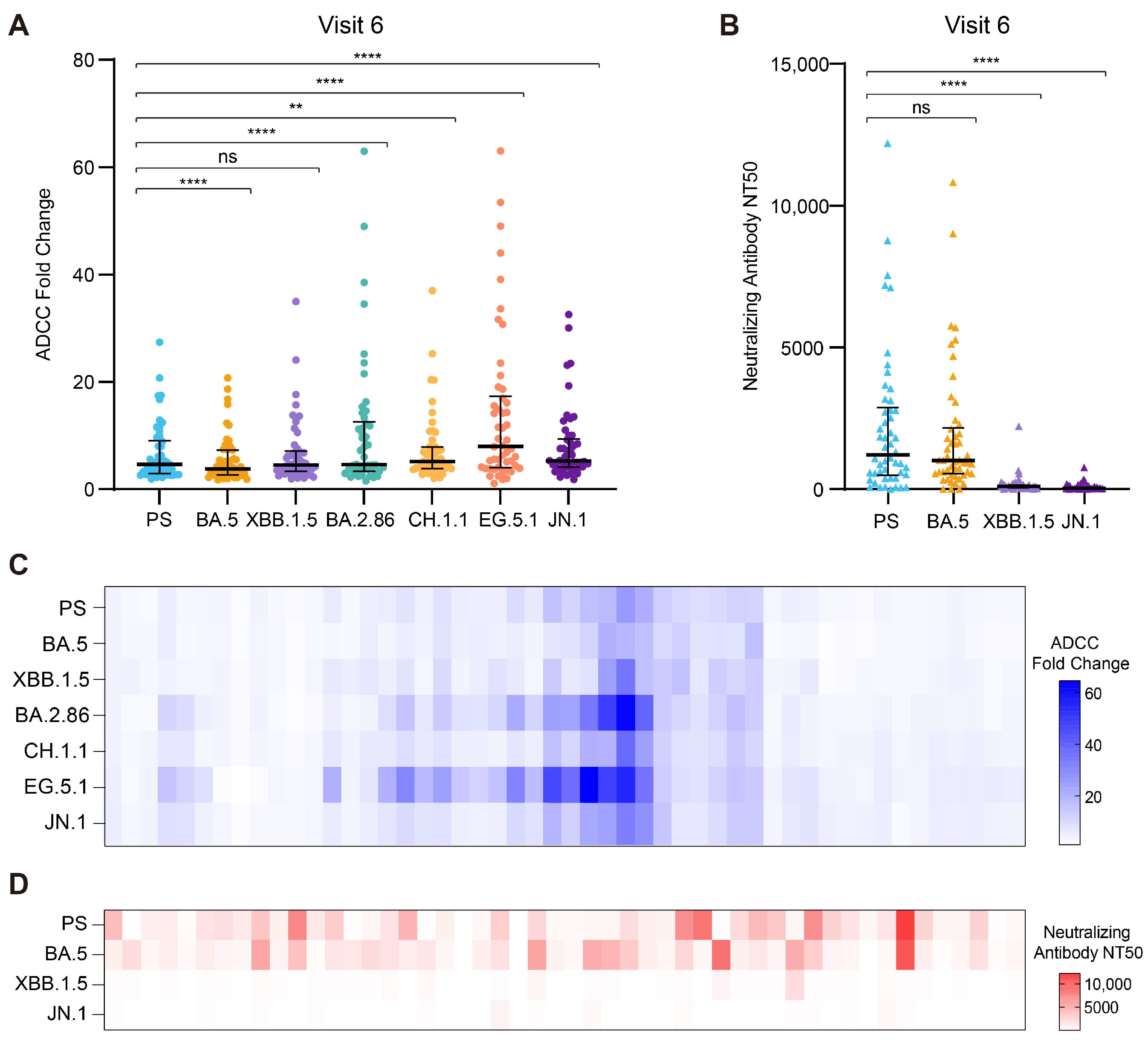 A Hidden Guardian: The Stability and Spectrum of Antibody-Dependent ...