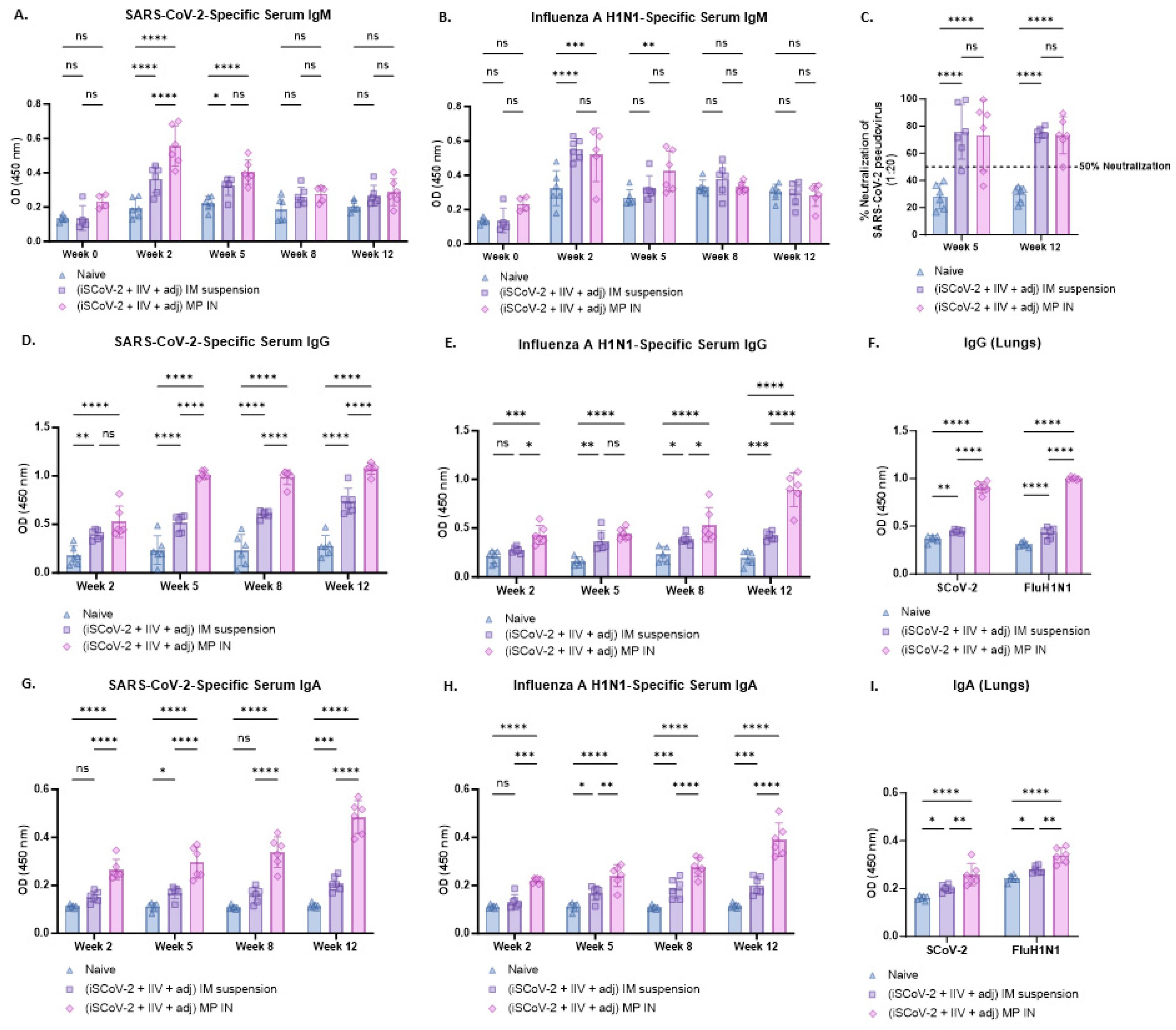 Evaluating the Immunogenicity of an Intranasal Microparticle ...