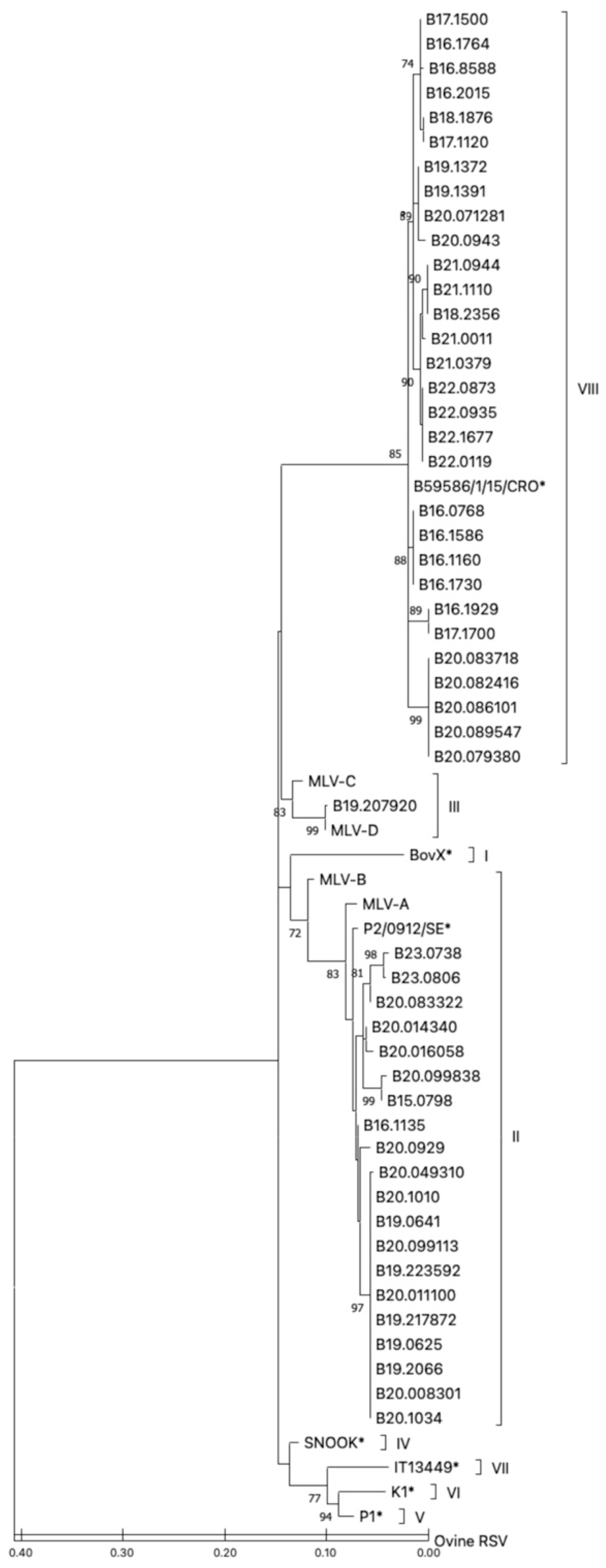 Phylogenetic Analysis of Bovine Respiratory Syncytial Virus (BRSV ...