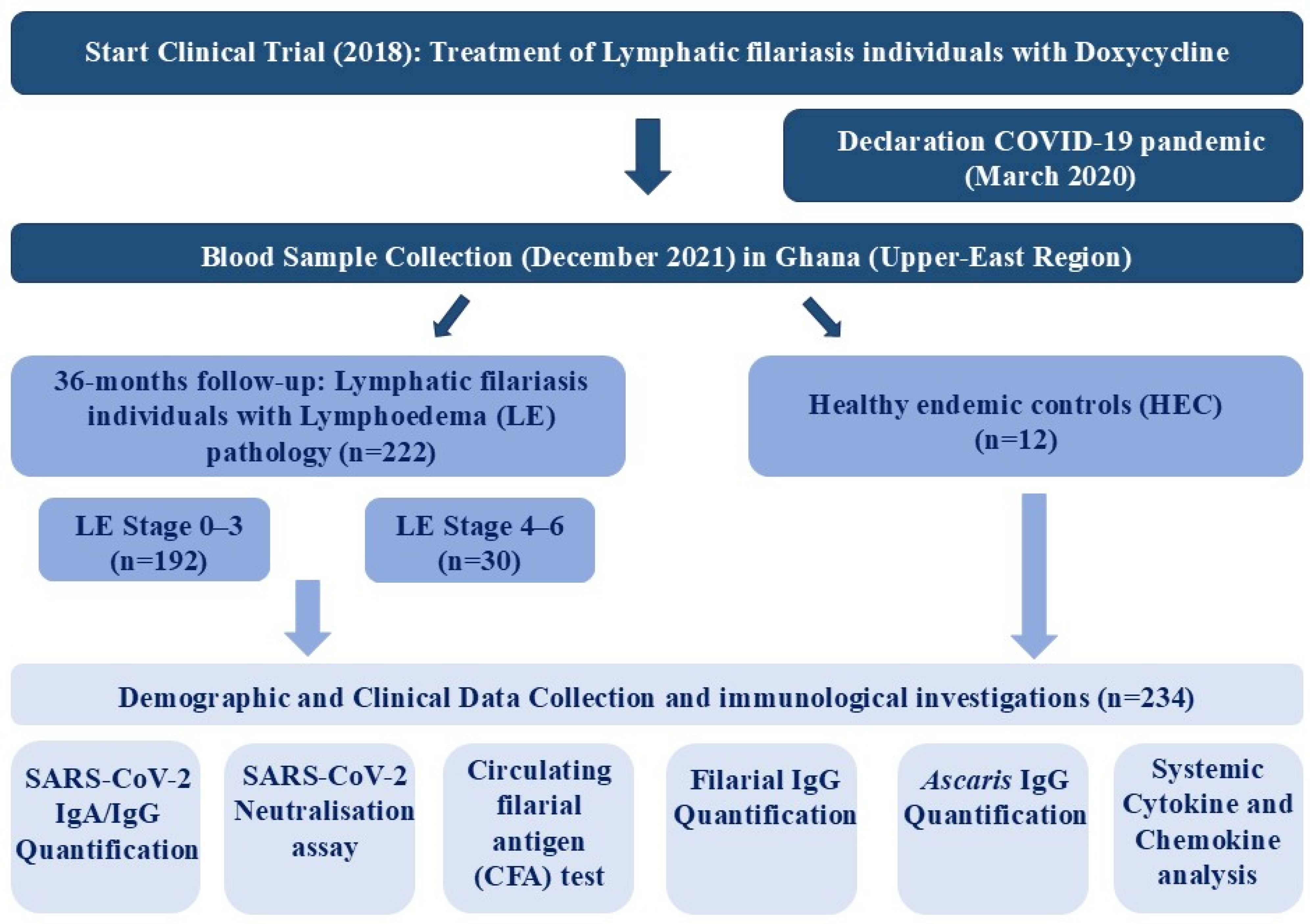 Robust COVID-19 Vaccine Responses Despite Filarial Co-Infection ...