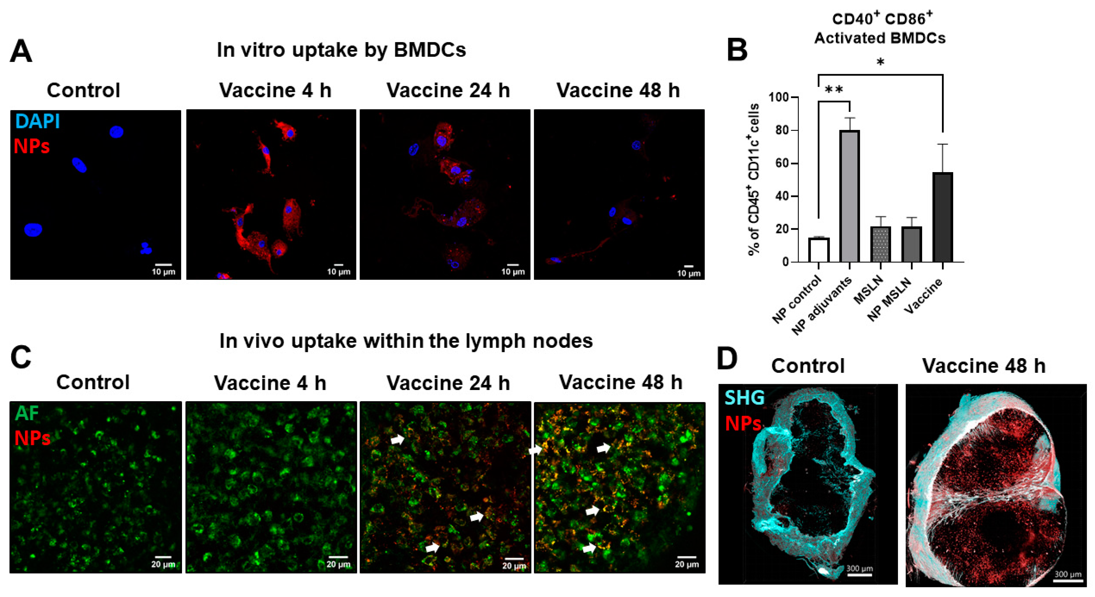 Anti-Tumor Efficacy of a Mesothelin-Based Nanovaccine in a KPC ...