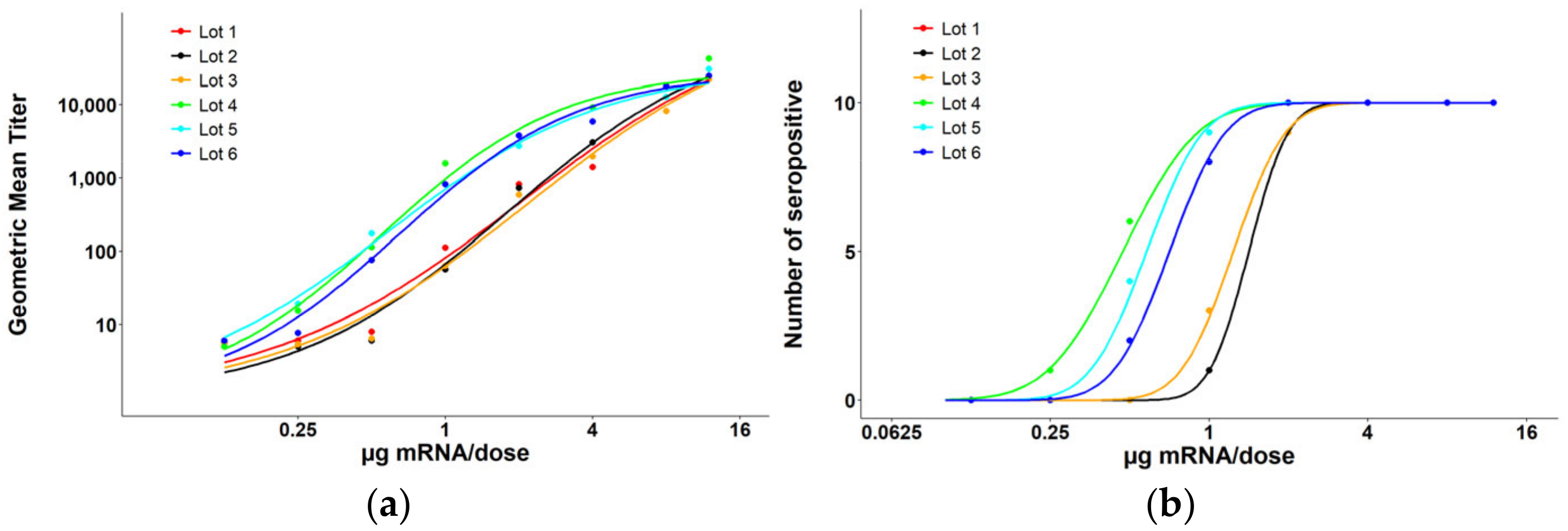 Cell-Based Relative Potency of a Respiratory Syncytial Virus mRNA ...