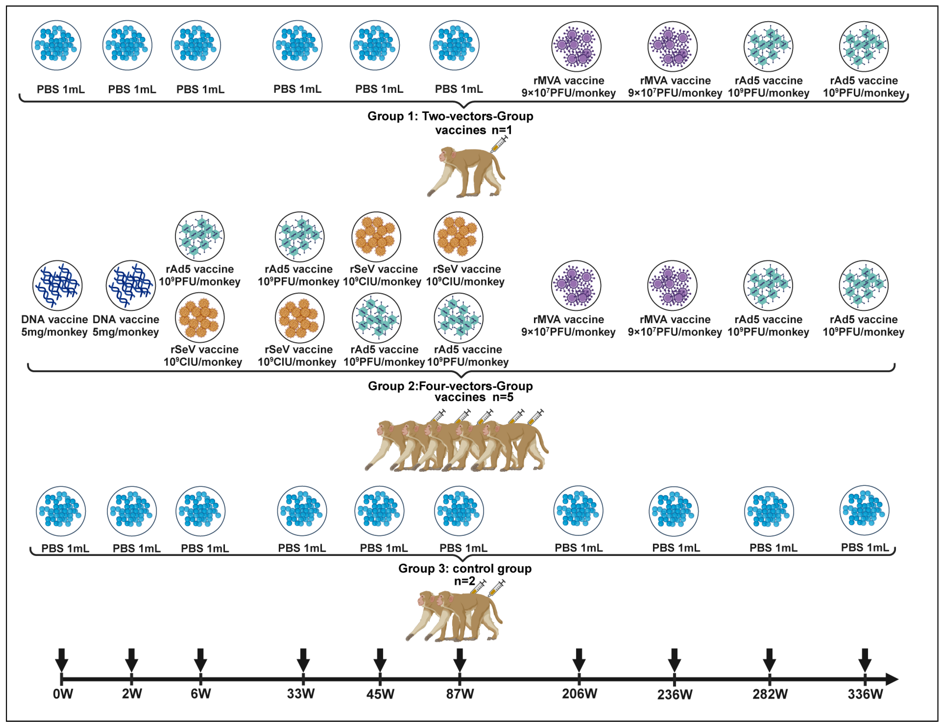 Decade-Long Sustained Cellular Immunity Induced by Sequential and ...