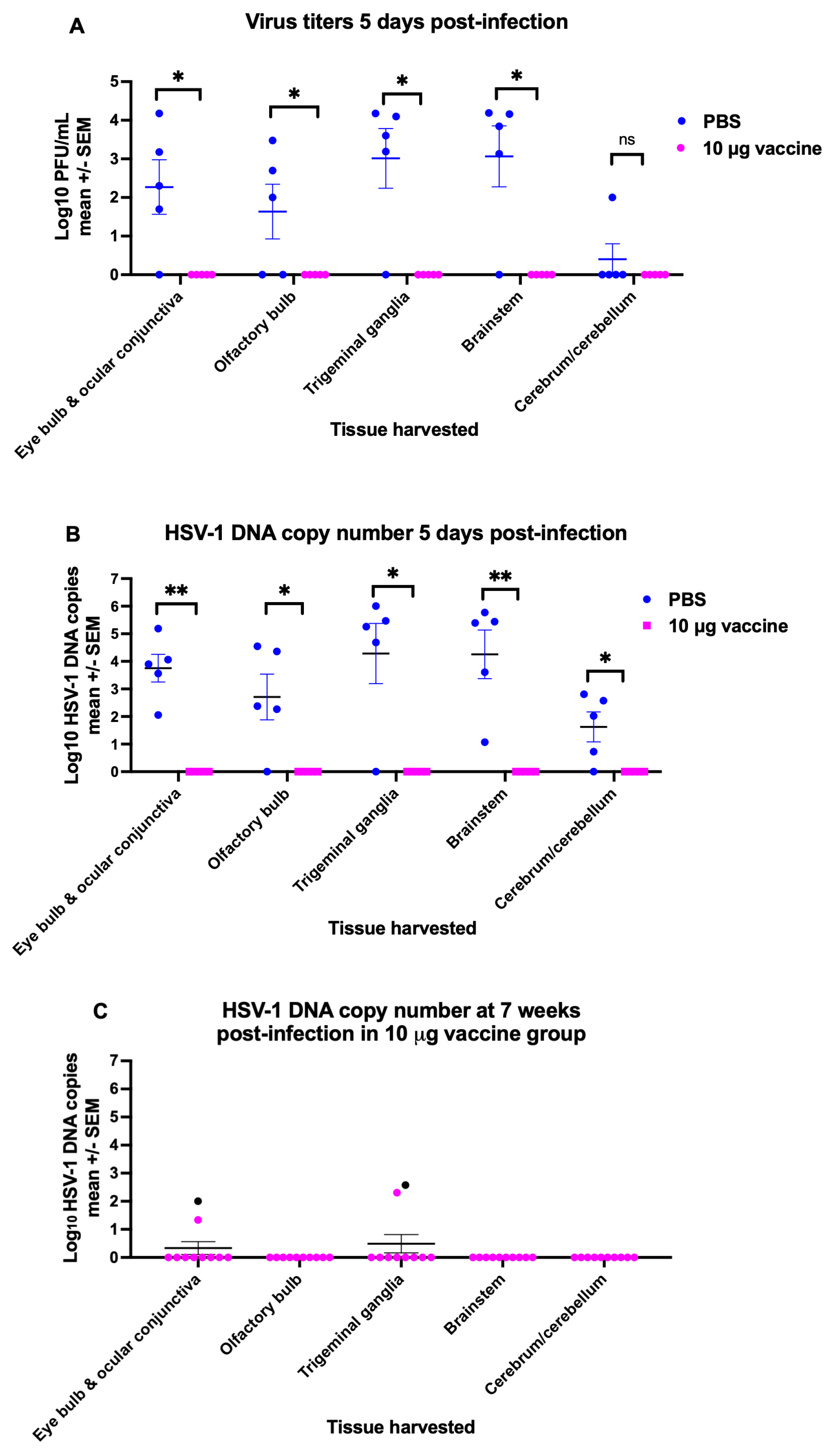 Immunogenicity and Efficacy of a Trivalent HSV-2 gC2, gD2, gE2 ...
