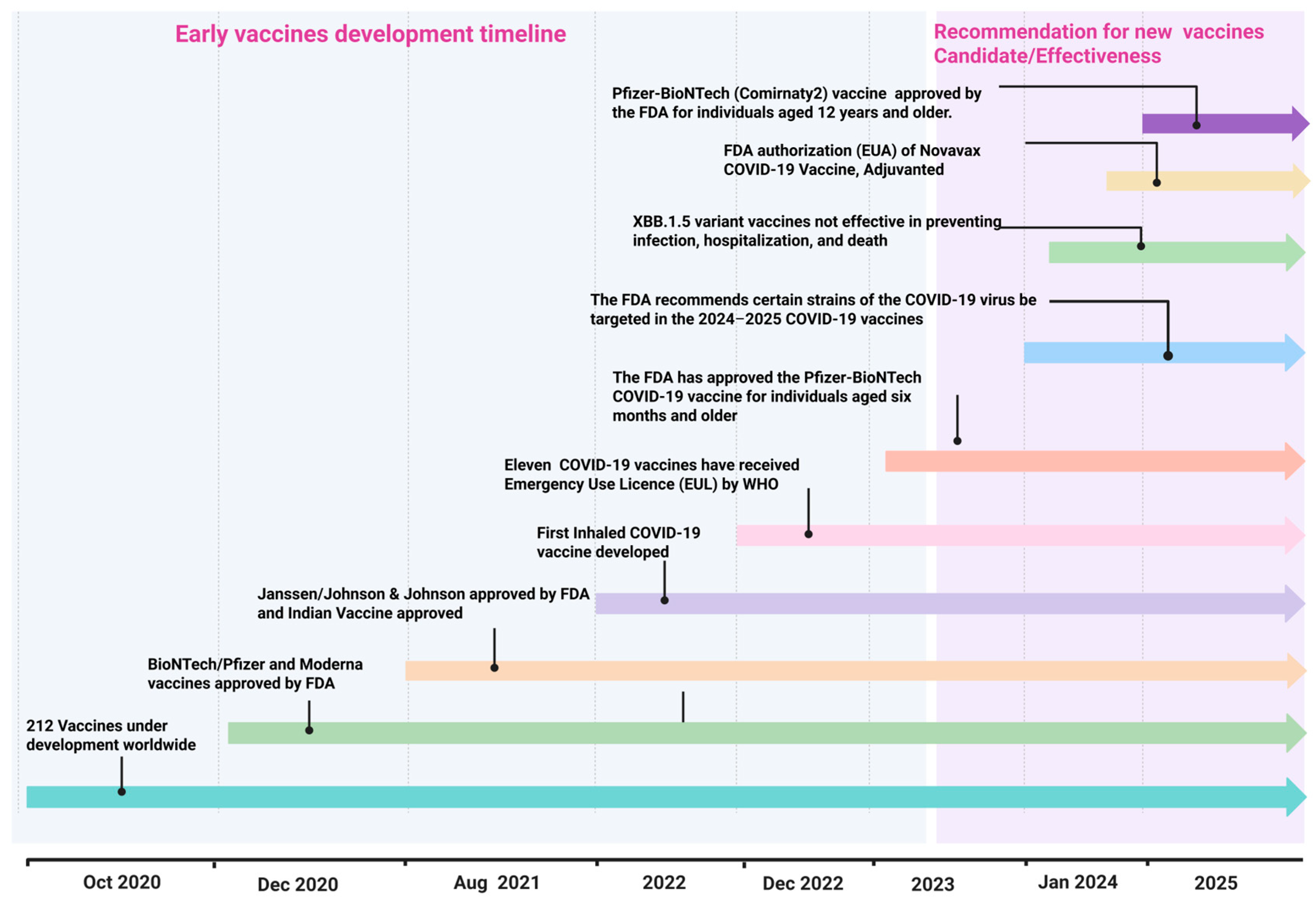 The Feasibility of Developing a Universal SARS-CoV-2 Vaccine