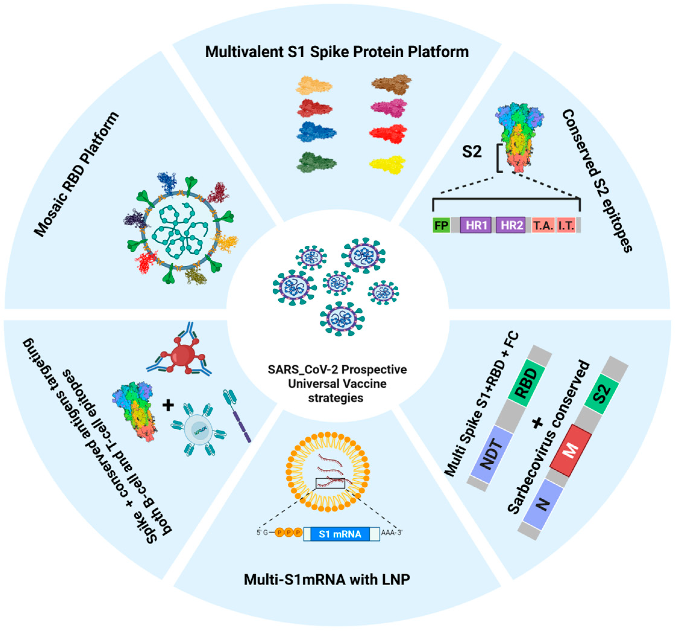 The Feasibility of Developing a Universal SARS-CoV-2 Vaccine