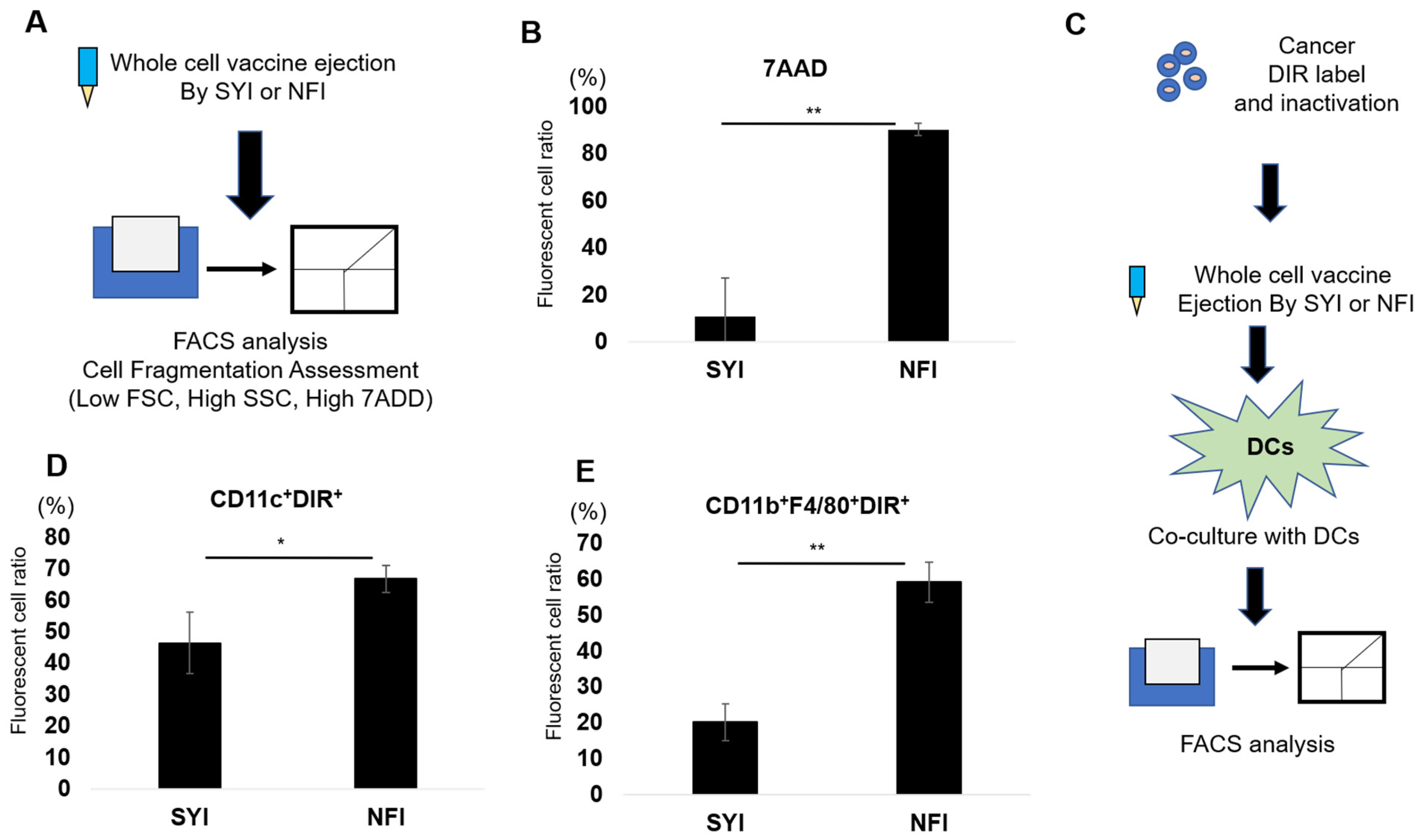 Needle-Free Injection Enhances the Immunogenicity and Antitumor ...