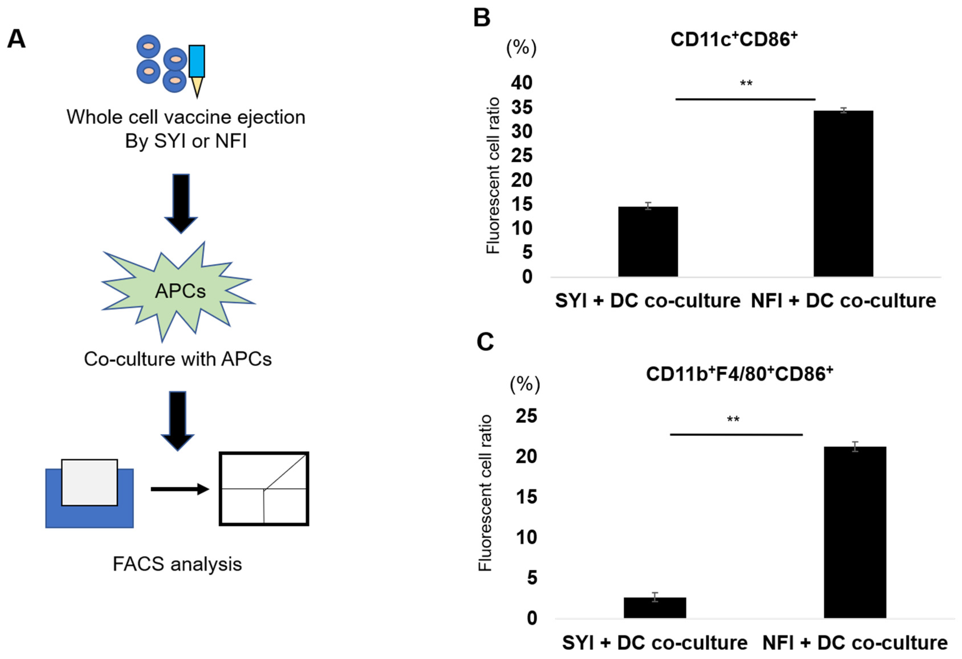 Needle-Free Injection Enhances the Immunogenicity and Antitumor ...