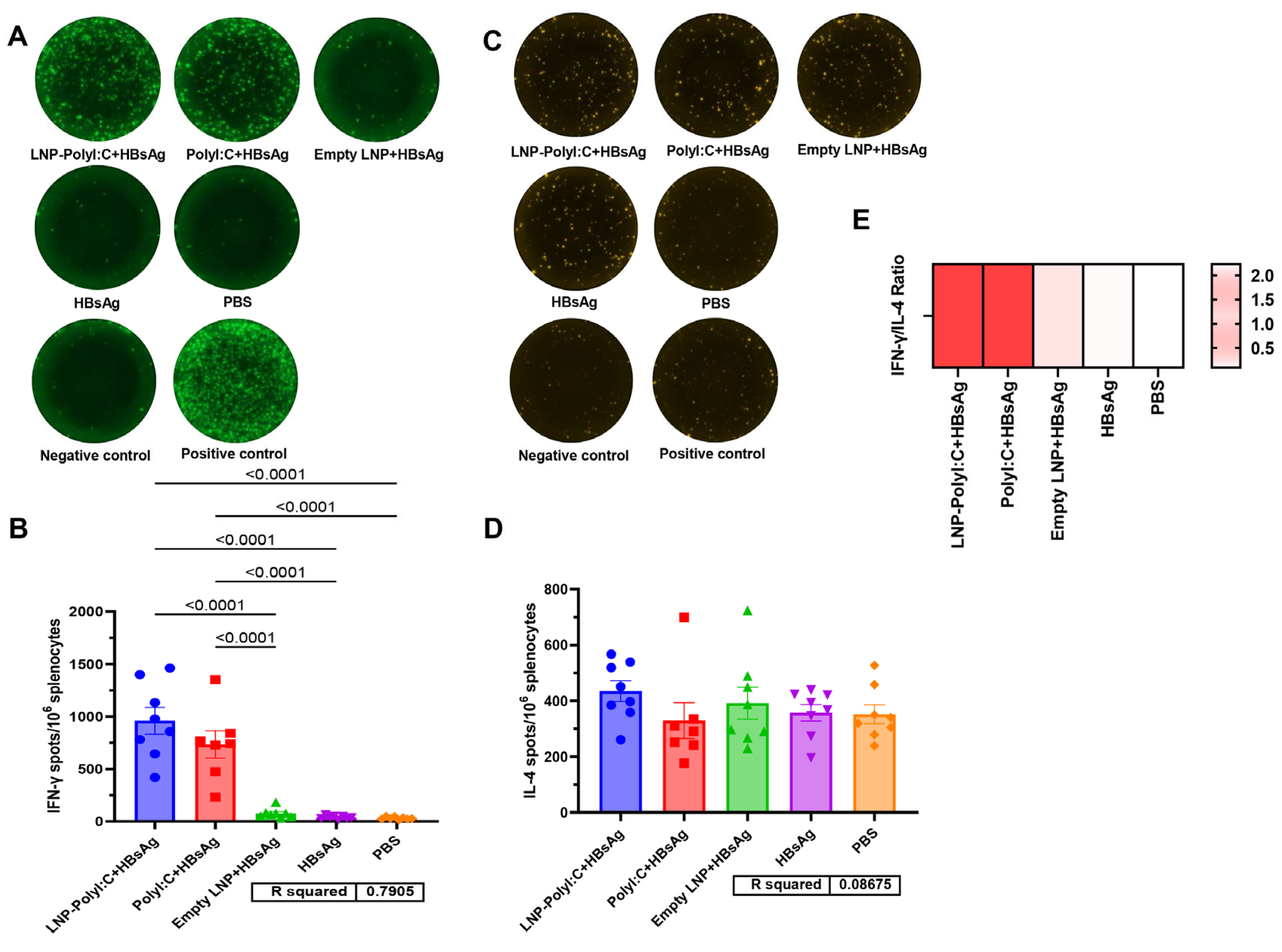Amy Polyi Lipid Nanoparticle-Encapsulated PolyI:C as an Adjuvant Enhances Both ...
