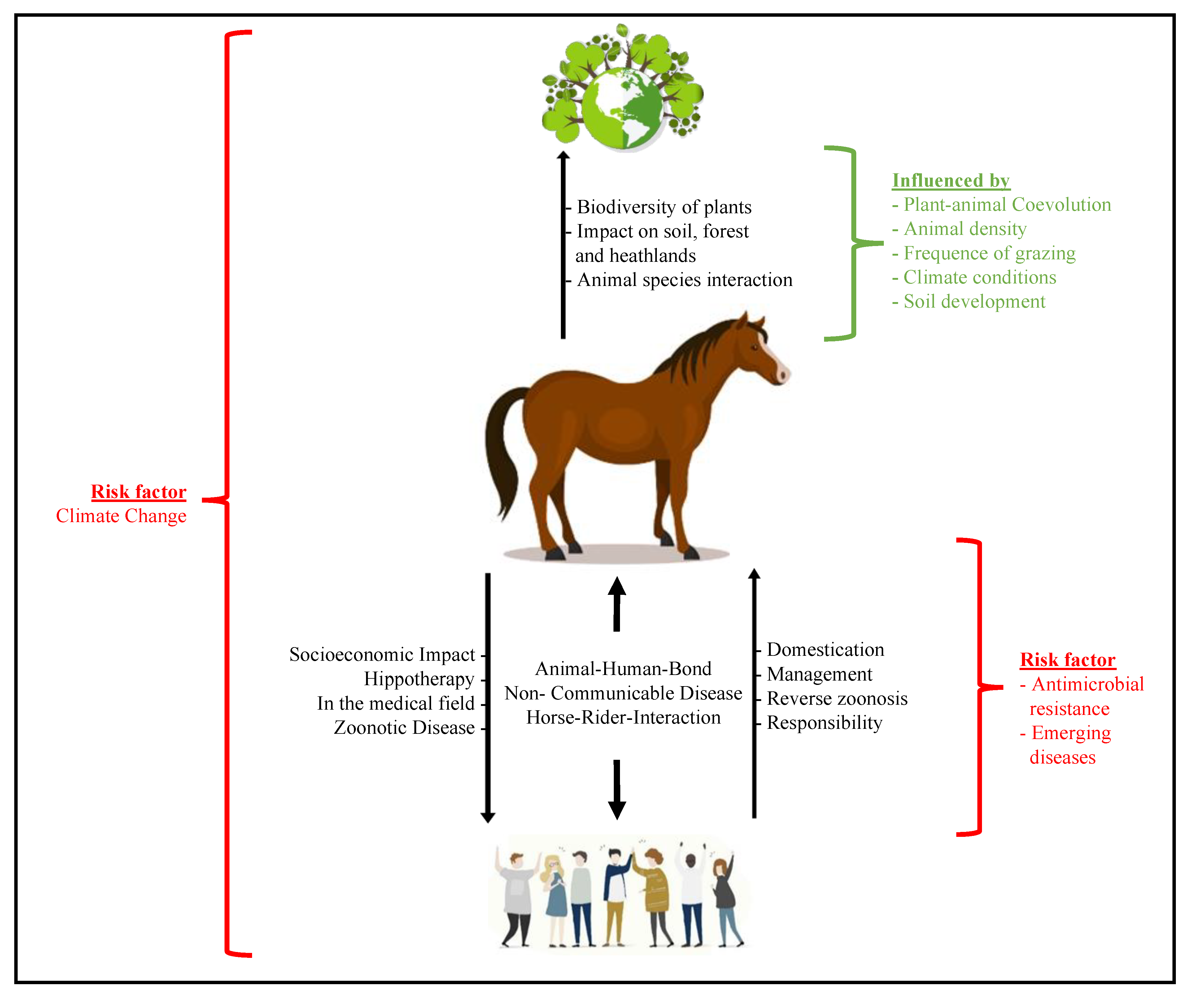 Veterinary Sciences | Free Full-Text | Horses as a Crucial Part of One  Health