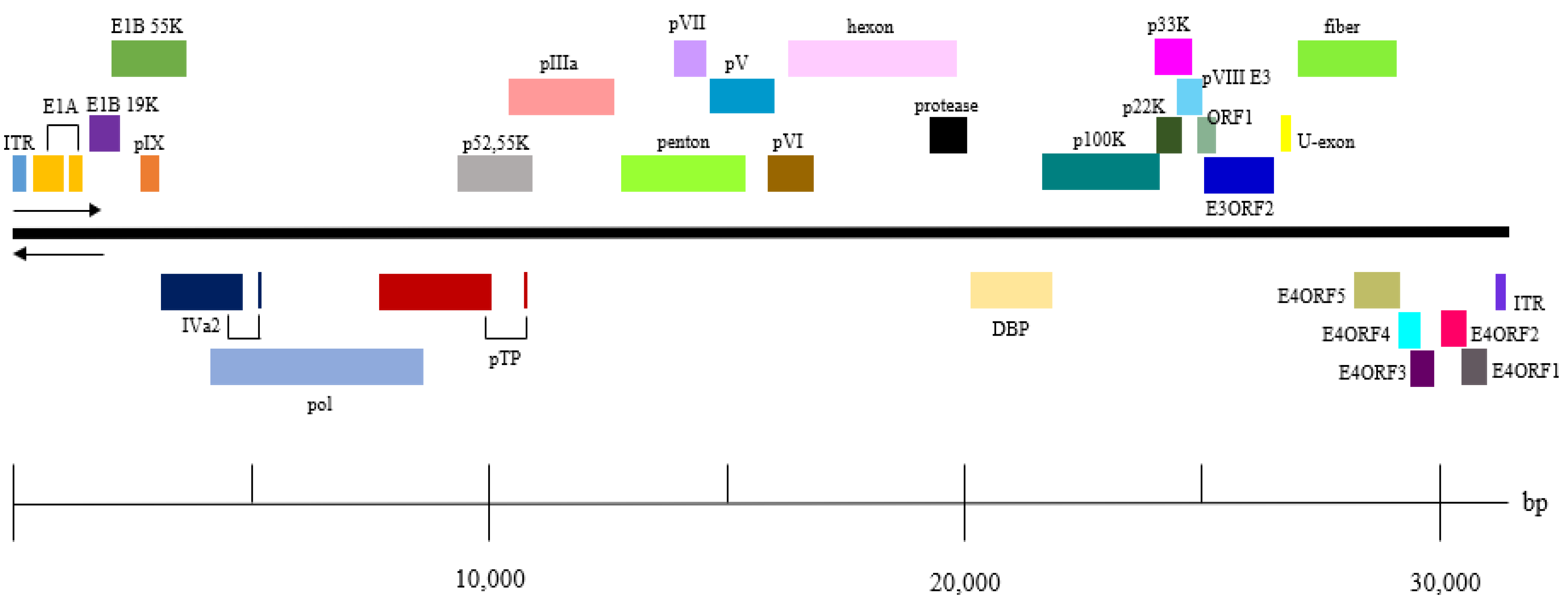 Veterinary Sciences | Free Full-Text | Genetic Characteristics of