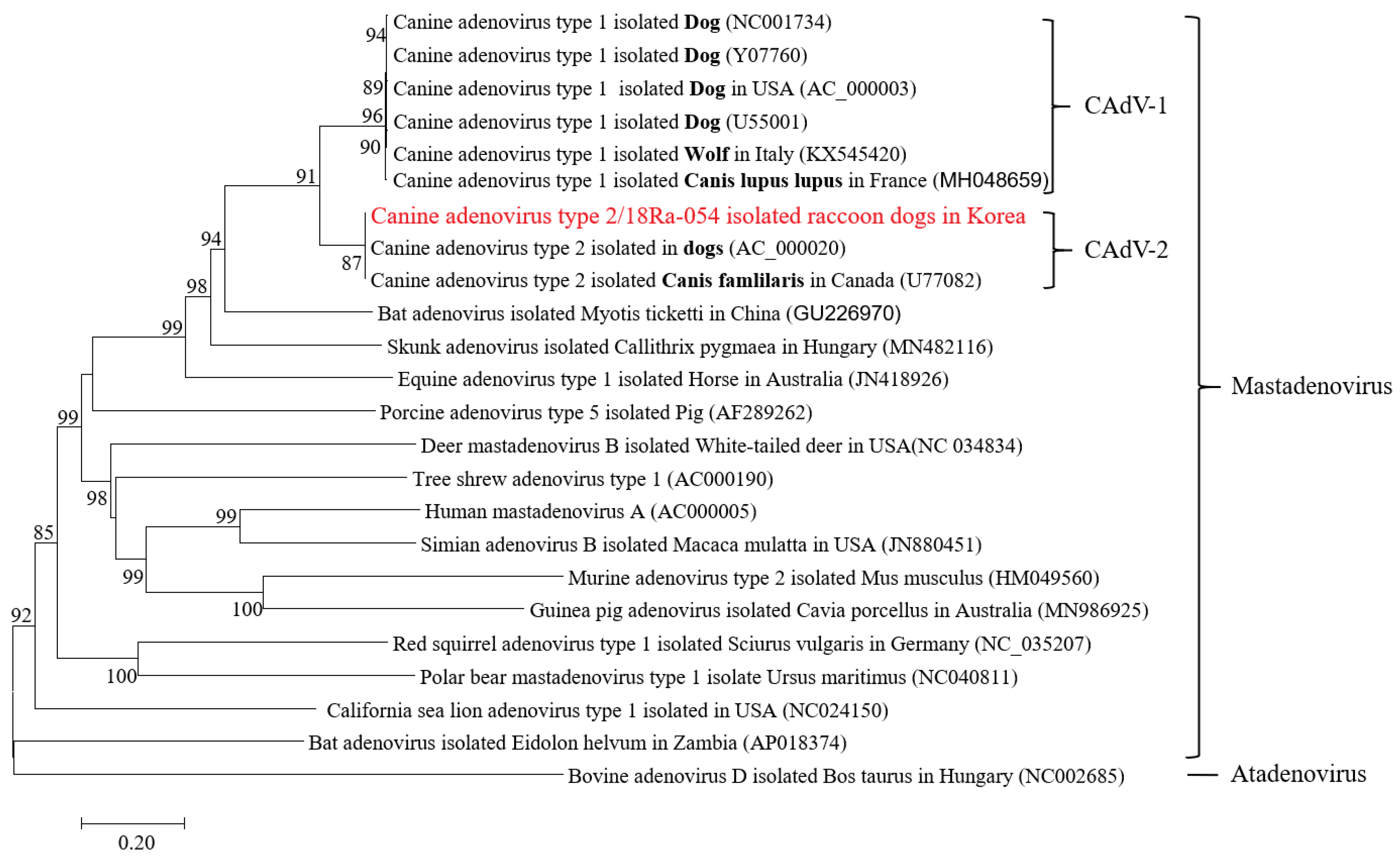 Veterinary Sciences | Free Full-Text | Genetic Characteristics of