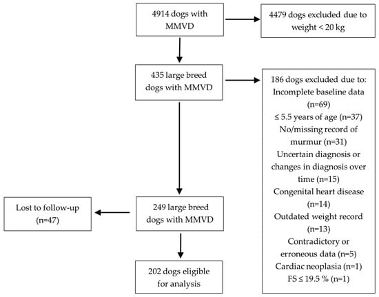 Myxomatous Mitral Valve Disease in Large Breed Dogs: Survival Characteristics and Prognostic Variables