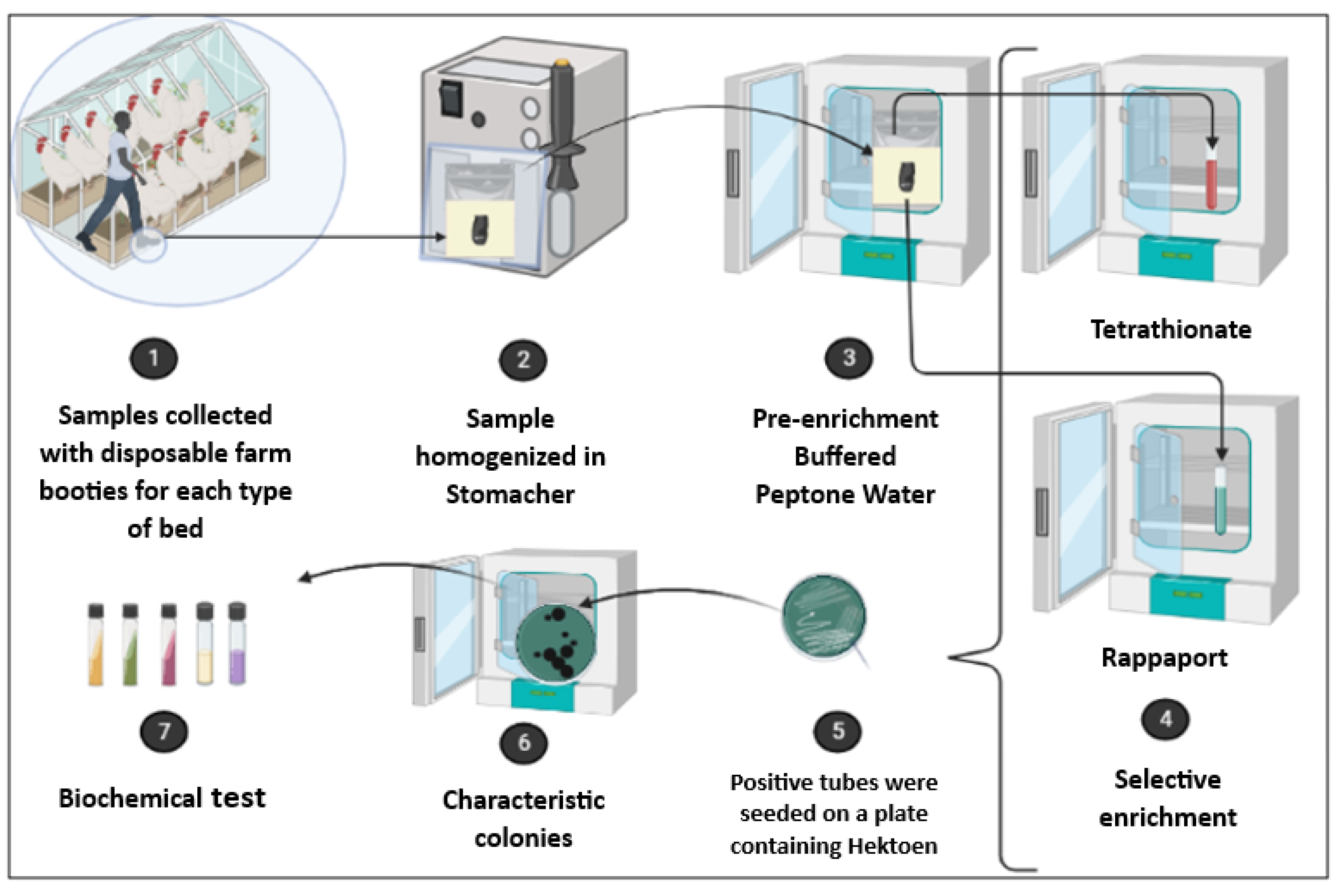 Nanotechnological Plastic Flooring: Implications For Broiler Chicken 