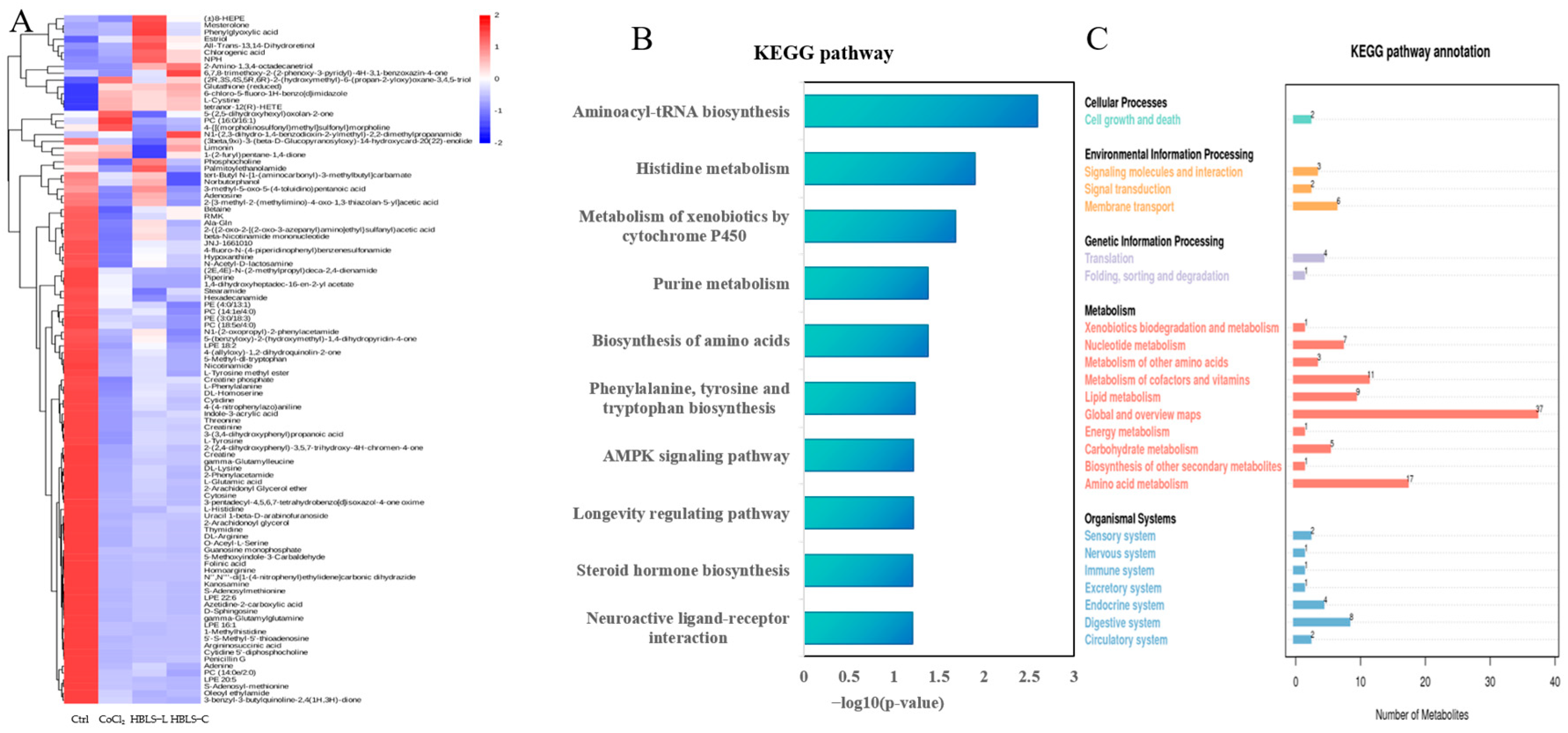 Hong-Bai-Lan-Shen Extract Alleviates the CoCl2-Induced Apoptosis in ...