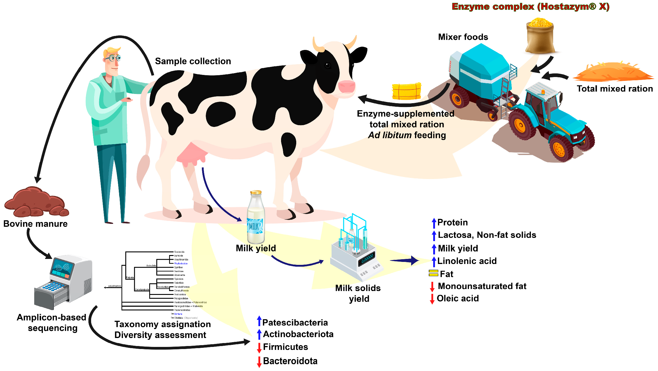 Fecal Microbiota and Performance of Dairy Cattle from a West