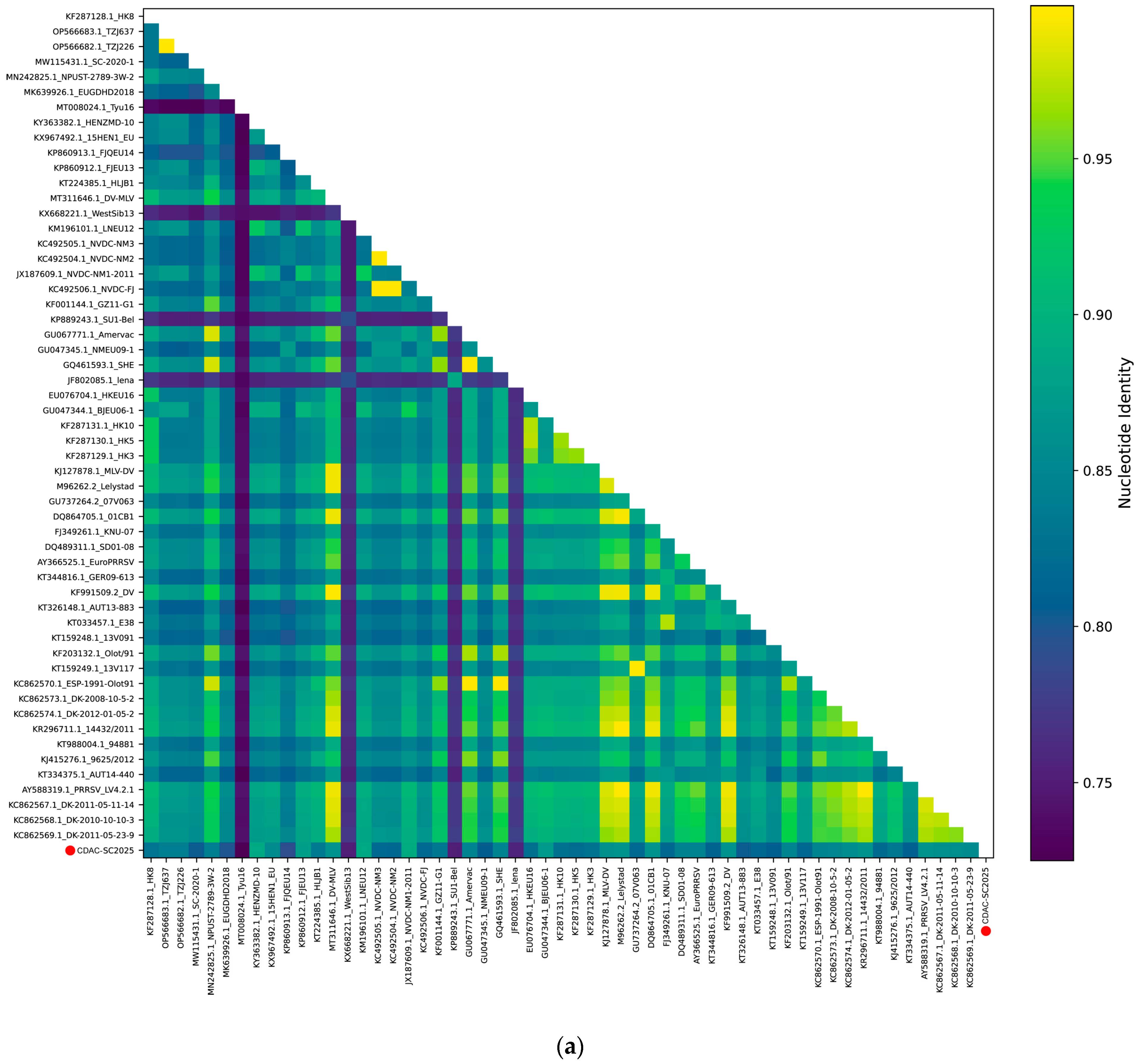 Isolation, Genomic Characterization and Pathogenicity of a European ...