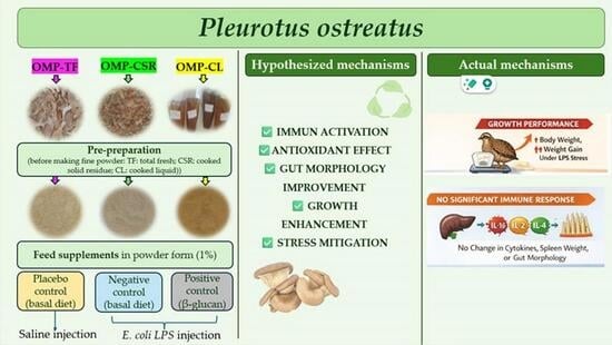 Investigation of Pleurotus Ostreatus Mushroom-Based Feed ...