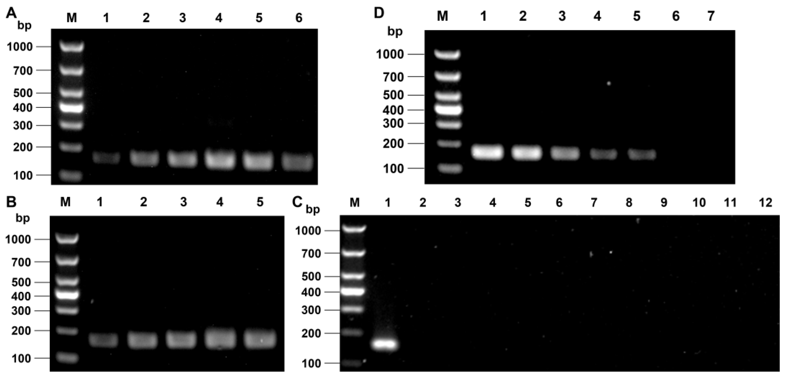 Development and Application of a Dual-Readout RPA-PfAgo System for ...