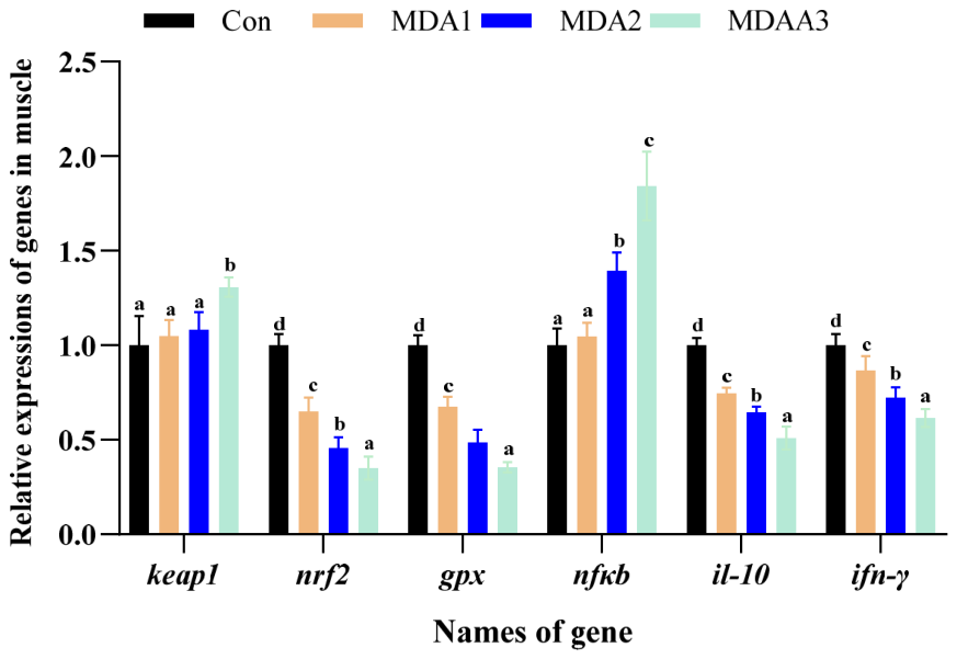 Effects of Exogenous MDA Supplementation to Diet on Antioxidant ...