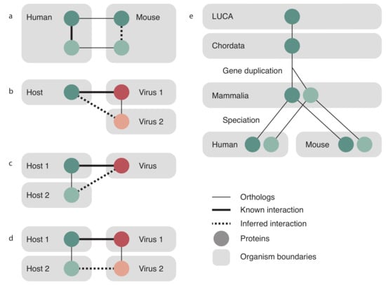String Virus Viruses.STRING: A Virus-Host Protein-Protein Interaction Database