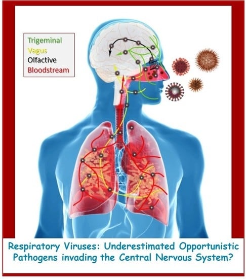 list human viruses