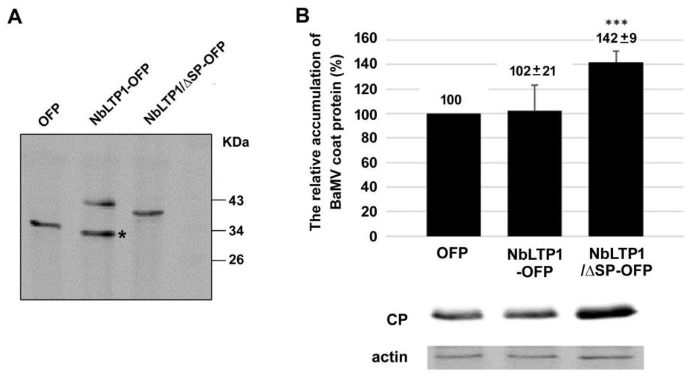 viruses-free-full-text-the-lipid-transfer-protein-1-from-nicotiana