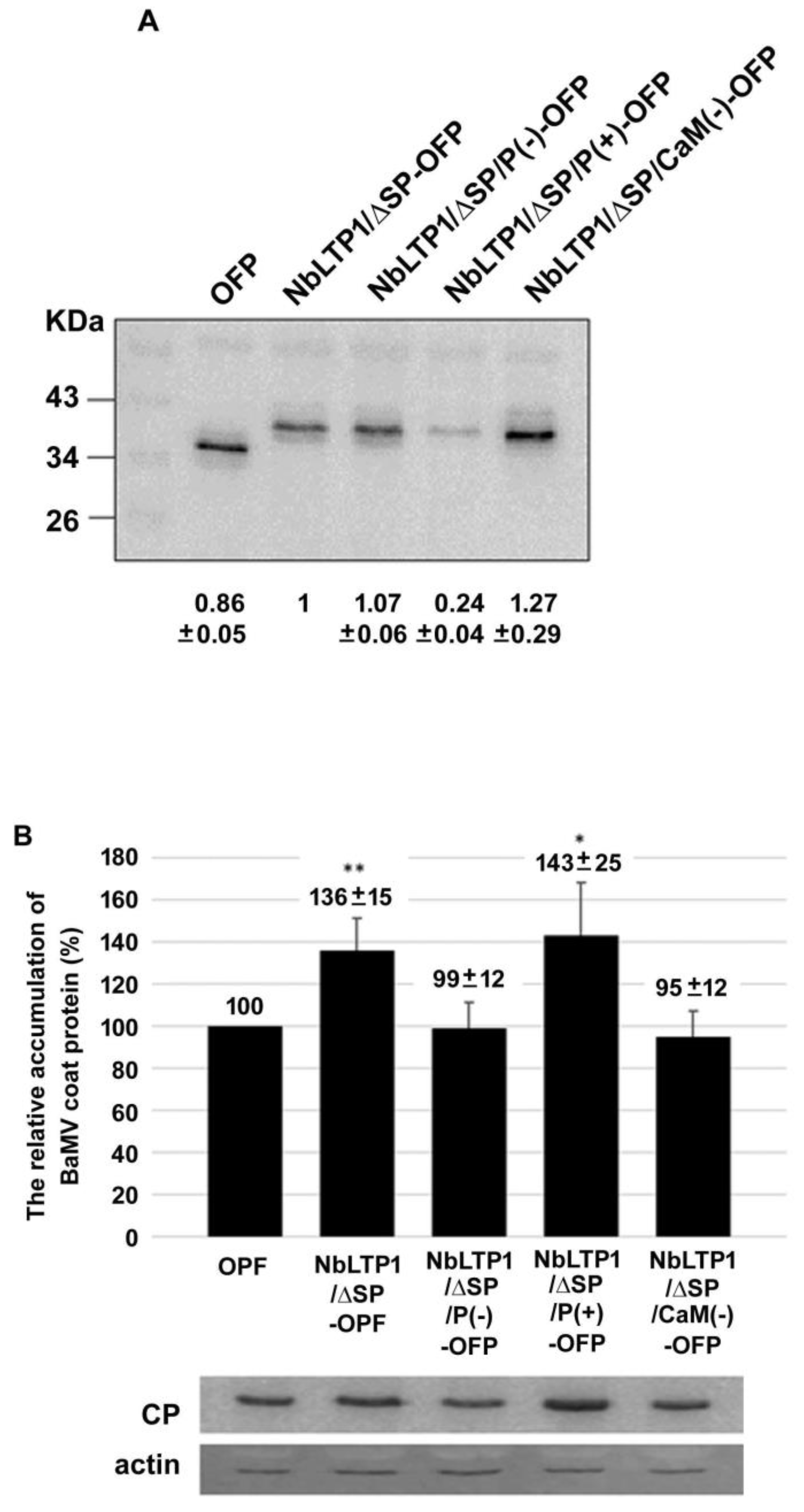 viruses-free-full-text-the-lipid-transfer-protein-1-from-nicotiana