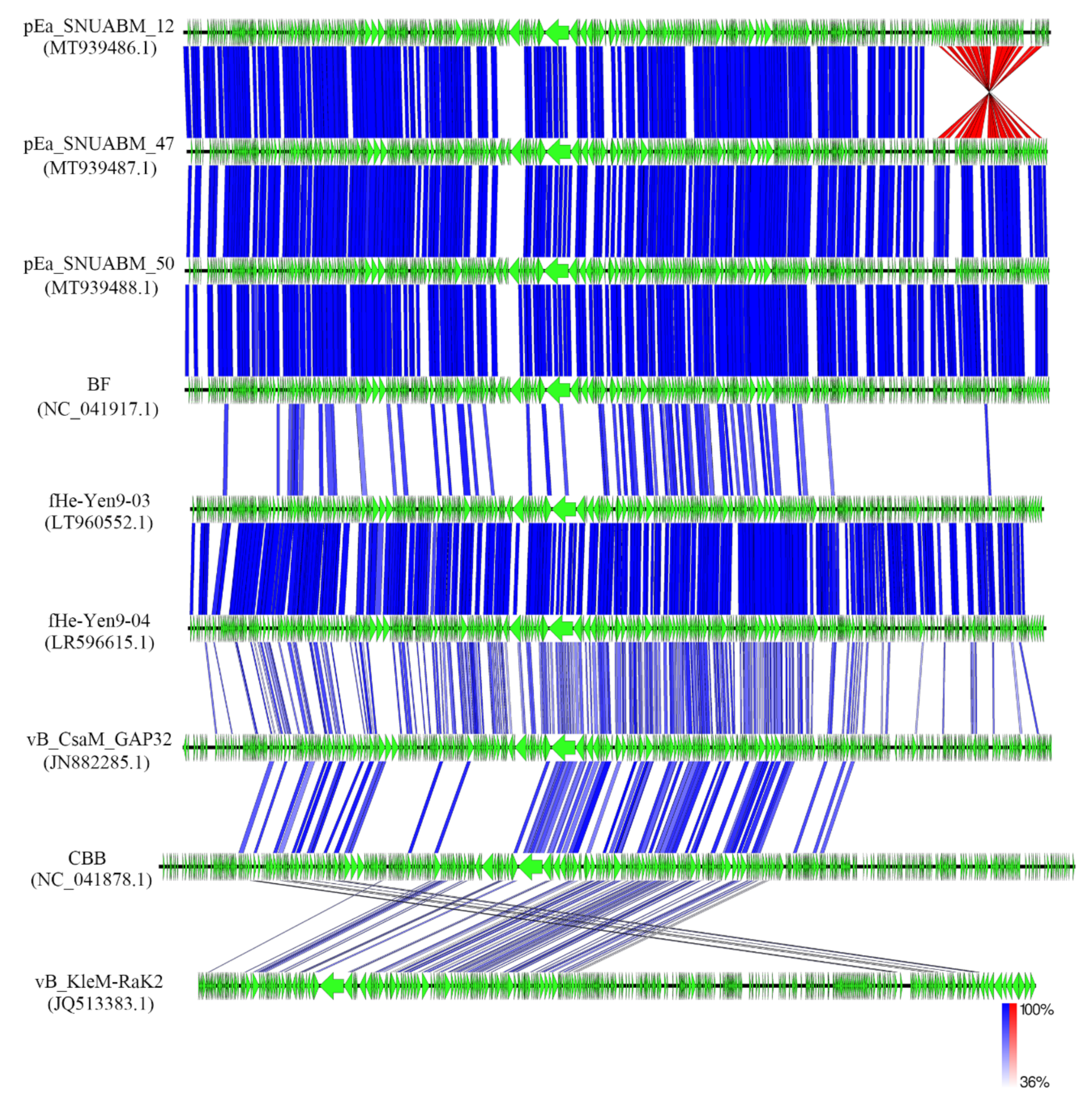 Jumbophage PCH45 evades type I, but not type III, CRISPR-Cas immunity.