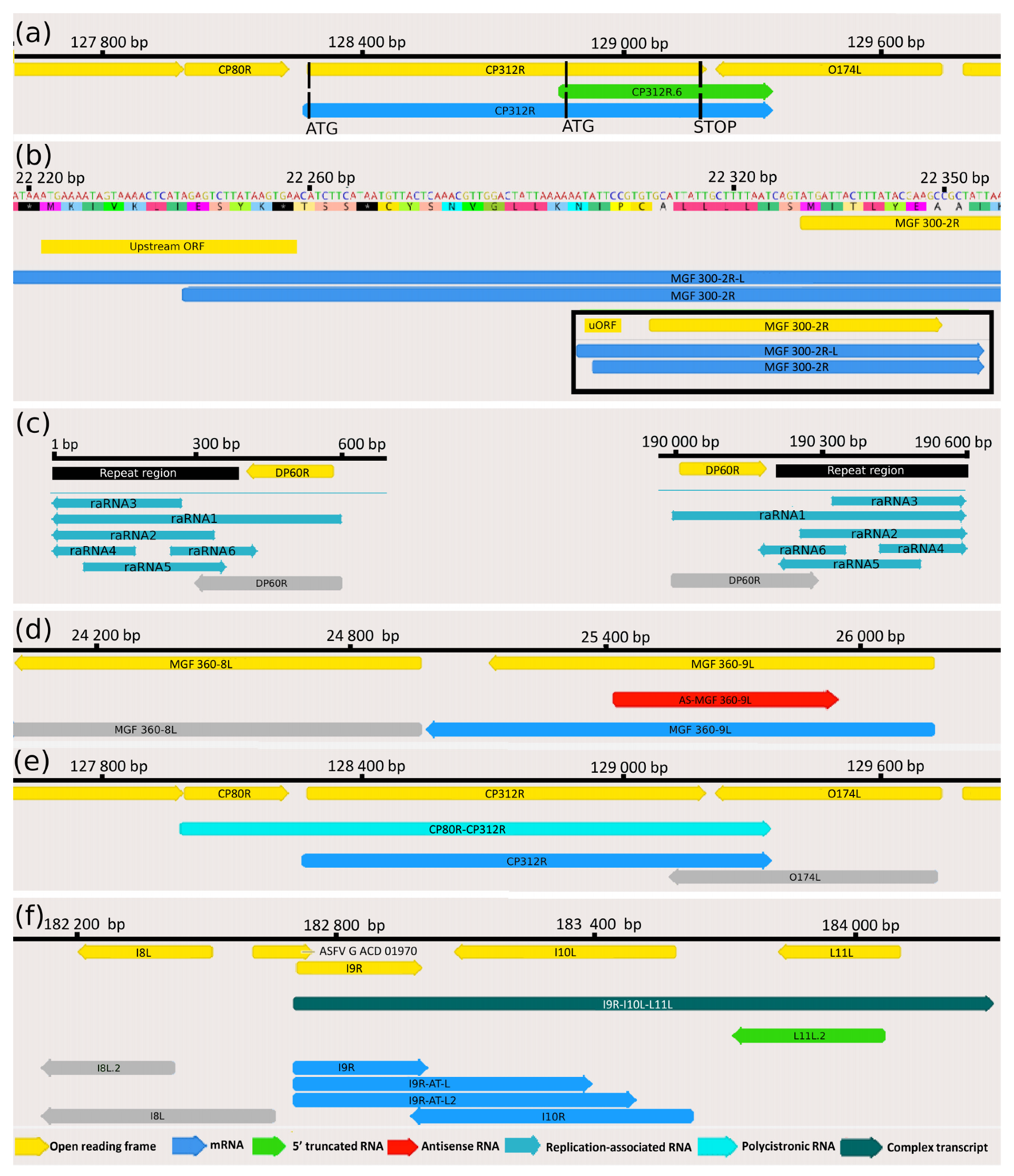 Viruses | Free Full-Text | Combined Short and Long-Read Sequencing ...