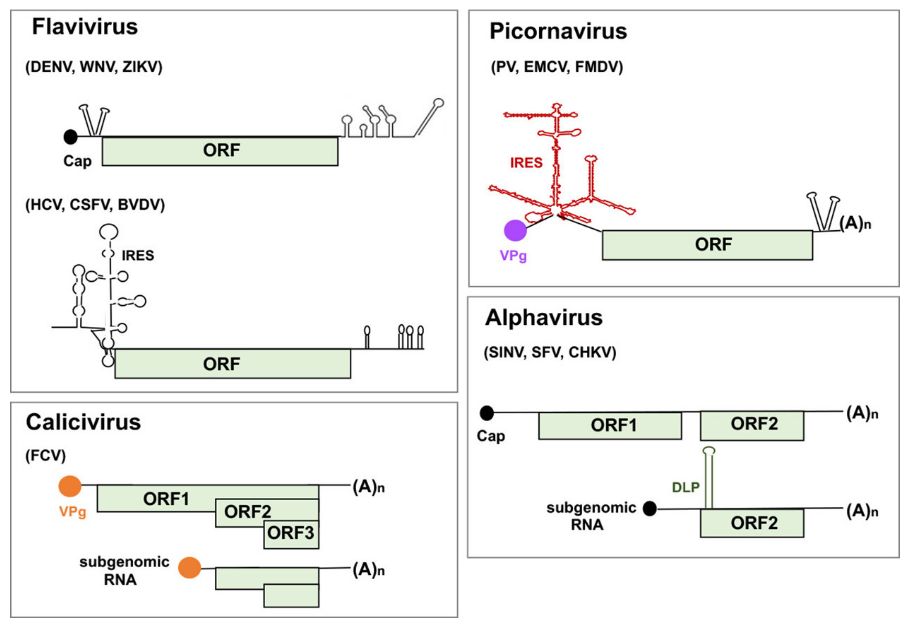 PDF) Mining Functional Elements in Messenger RNAs: Overview, Challenges,  and Perspectives