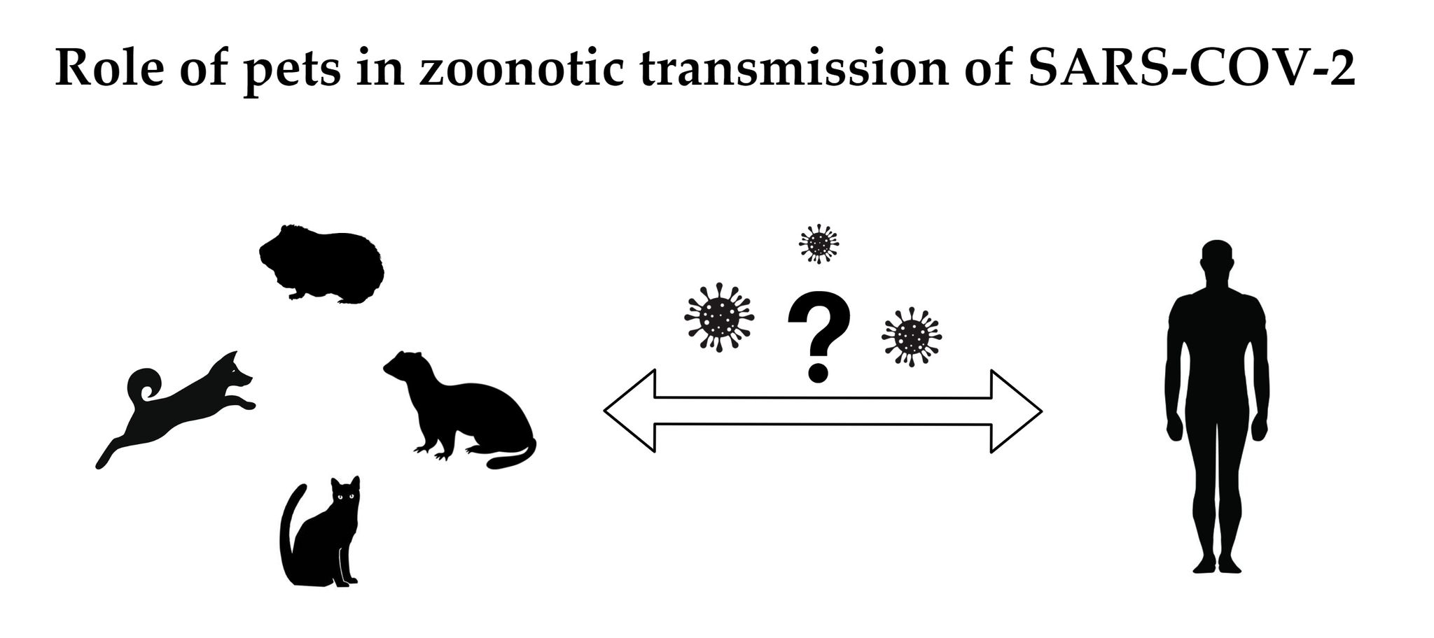 Viruses Free Full-Text Current State of Knowledge about Role of Pets in Zoonotic Transmission of SARS-CoV-2 photo