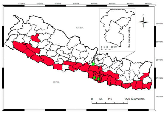 Viruses | Free Full-Text | An Outbreak of Dengue Virus Serotype 2 ...