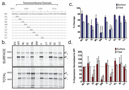 Viruses | Free Full-Text | Analysis of Hendra Virus Fusion Protein N ...