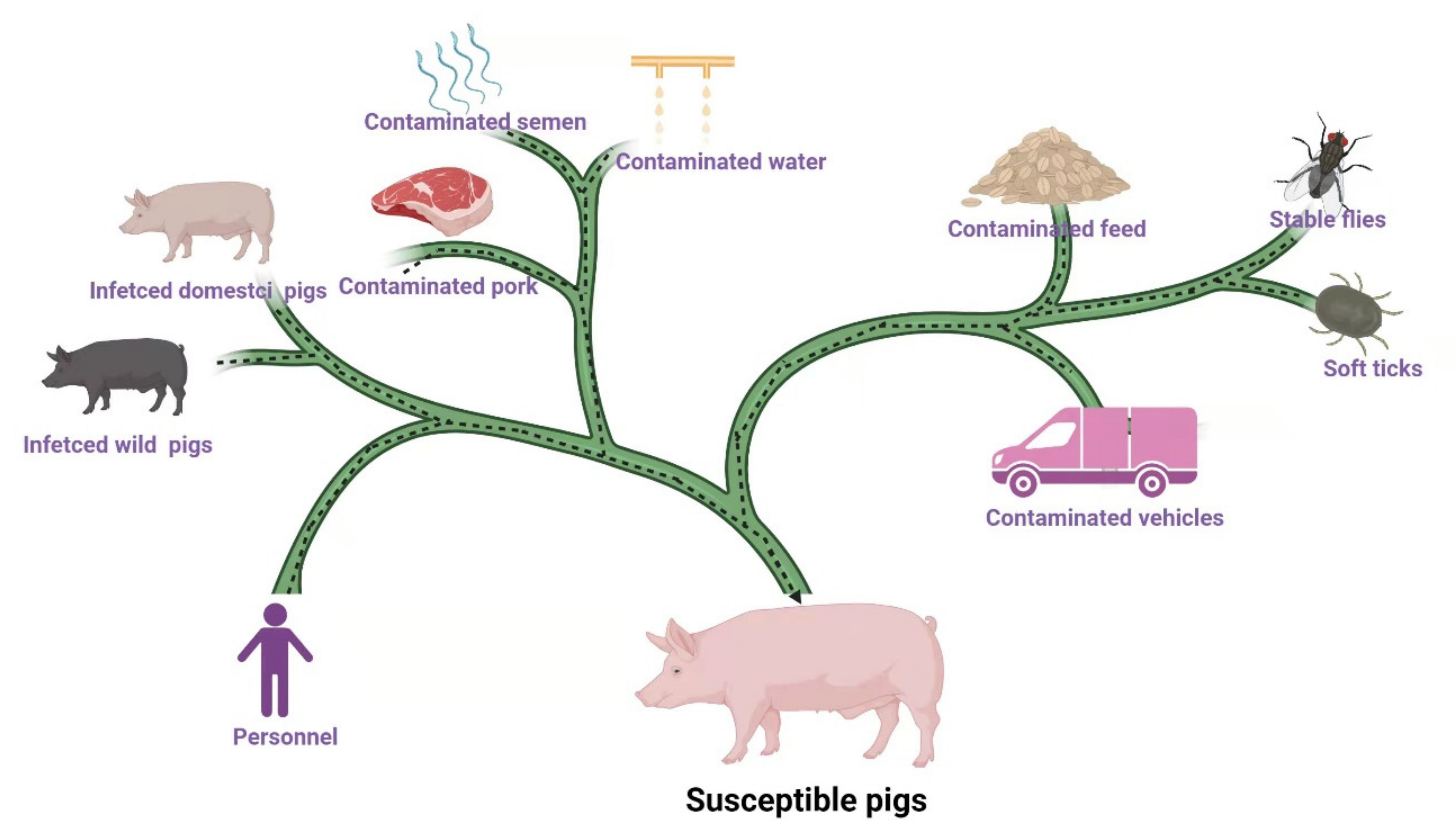 Viruses | Free Full-Text | Prevention and Control Strategies of African  Swine Fever and Progress on Pig Farm Repopulation in China