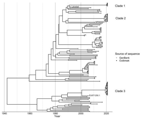 Viruses Free Full Text A Molecular And Epidemiological Description   Viruses 14 00375 G001 550 